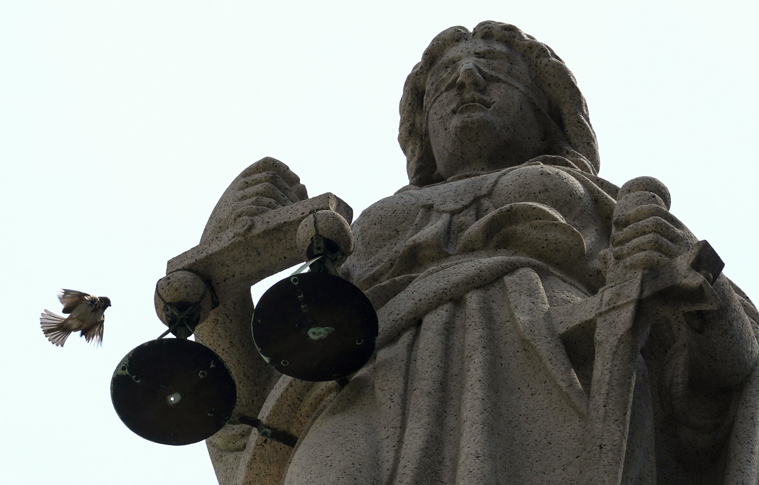 A sparrow flies near the statue of Themis, the blindfolded goddess of justice, on the roof of the Court of Final Appeal building in Central. Photo: Jelly Tse