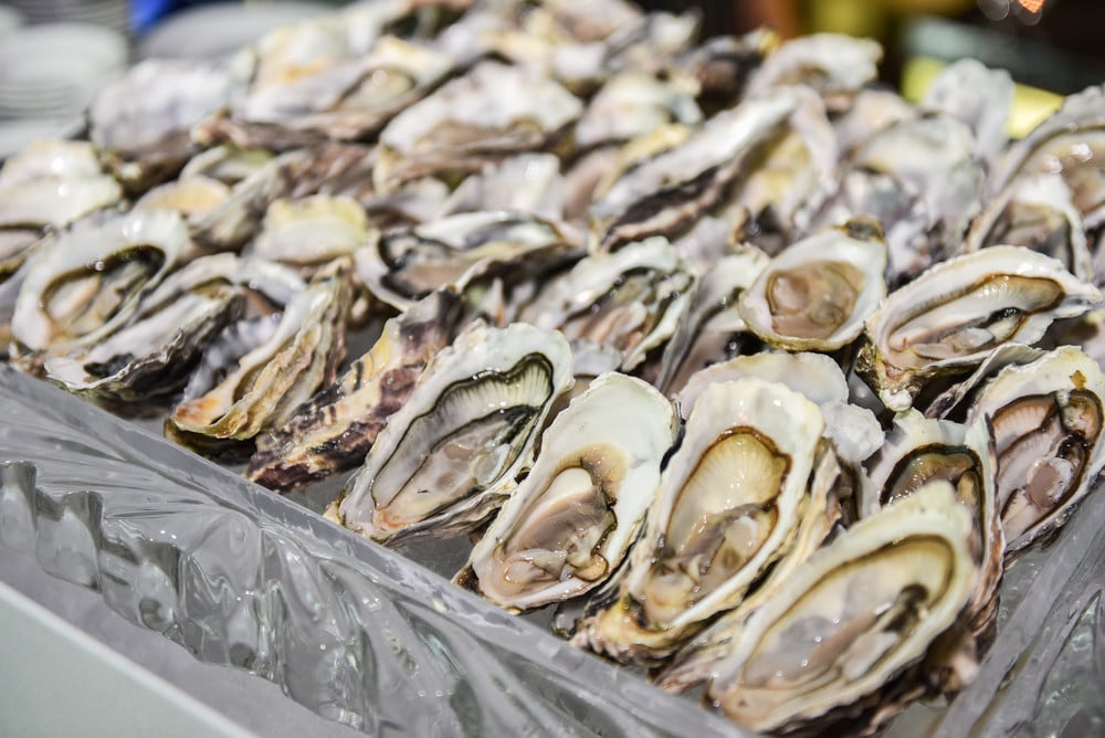 Oysters sit on a silver tray ready for sale. The molluscs are a staple of brunch menus and seafood buffets across Australia. Photo: Shutterstock