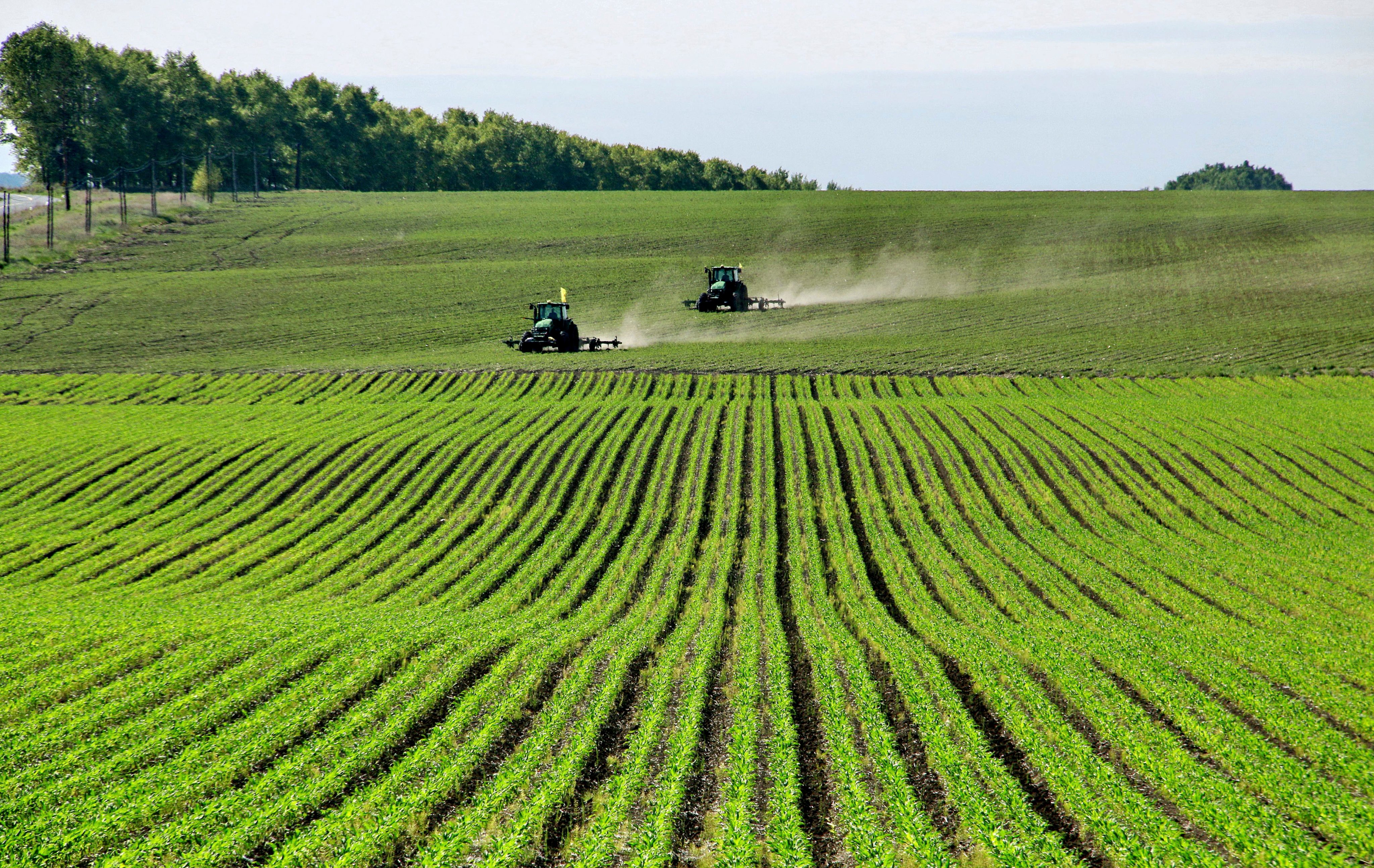 Farmers operate BeiDou-equipped agricultural machinery in a soybean field in northeastern China’s Heilongjiang province in June. Photo:  Xinhua