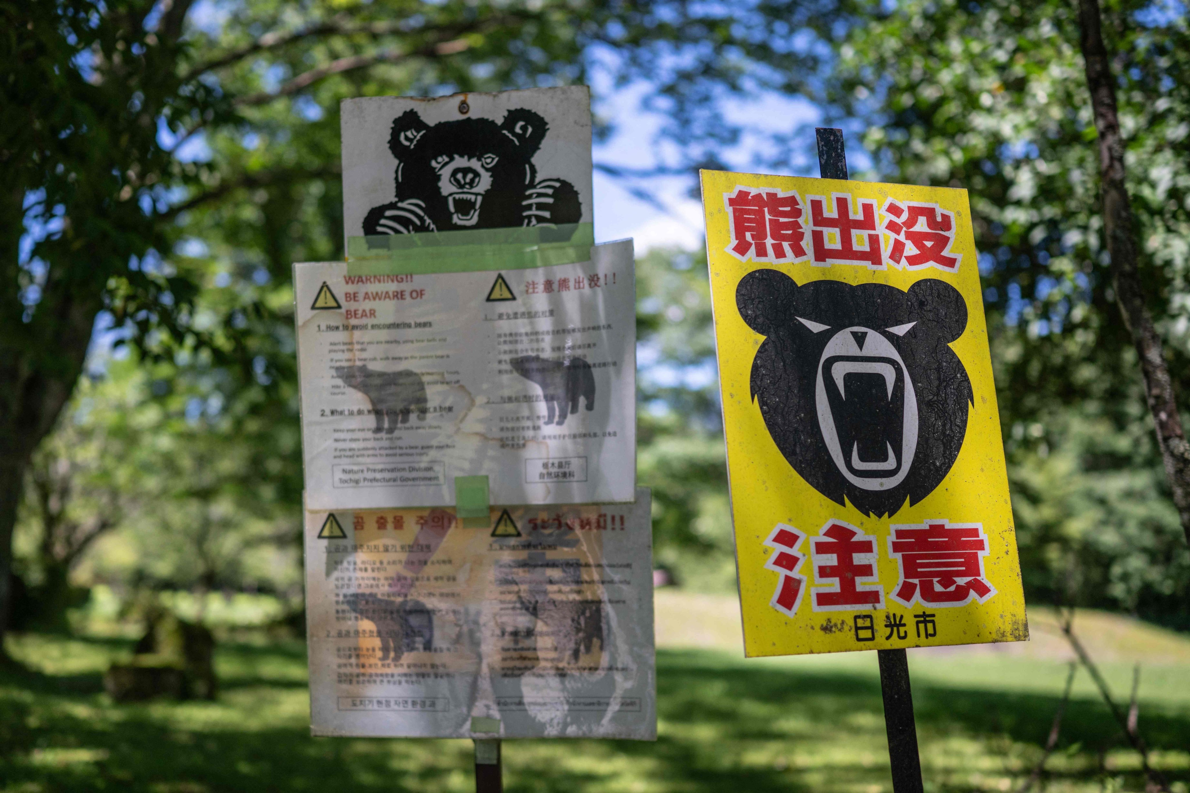 A sign warning of bears is seen at the start of a hiking trail in Nikko, Japan, in July. Photo: AFP