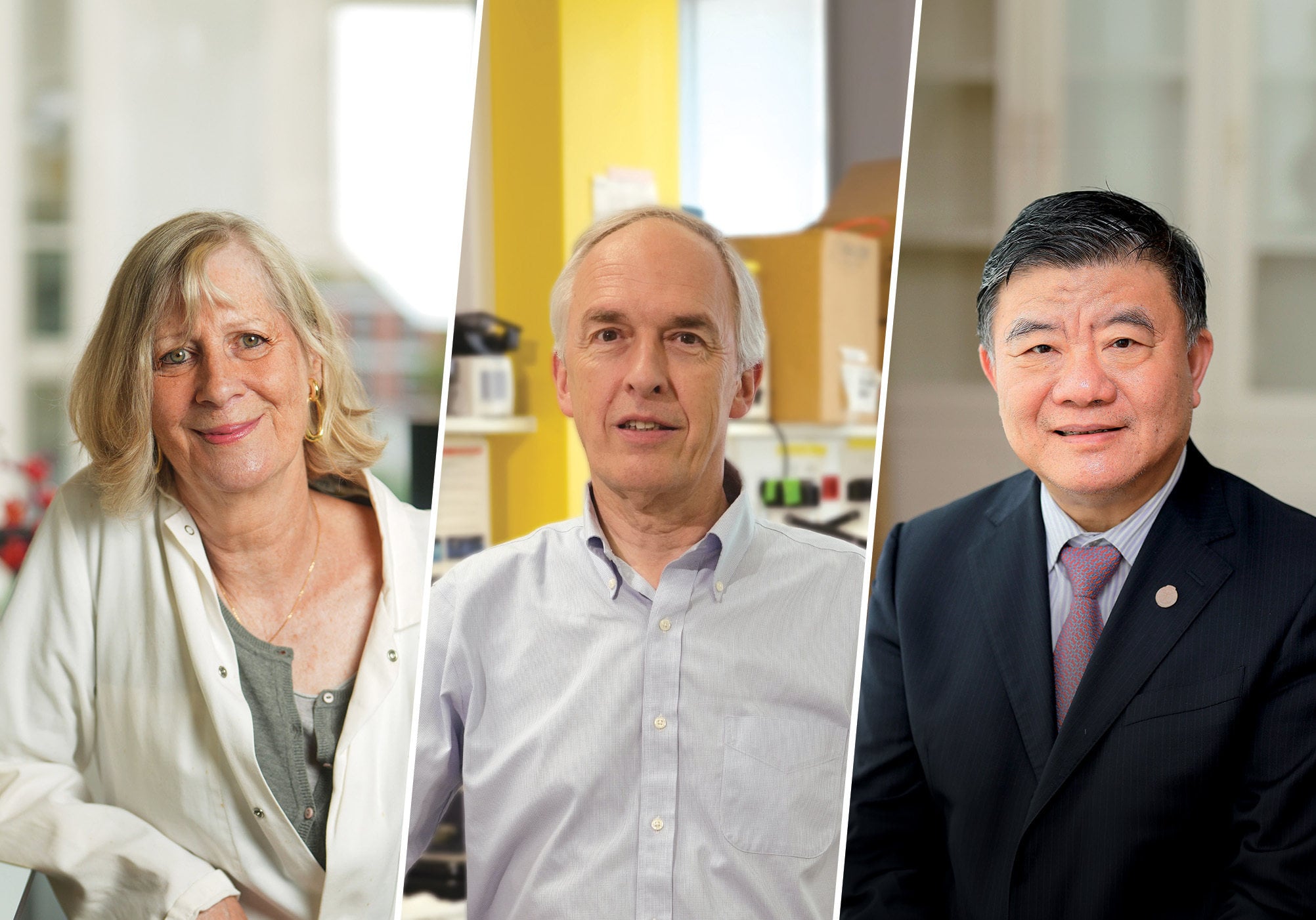 This year’s Shaw Prize in Life Science and Medicine laureates: (from left) Anne Dejean, Hugues de The and Zhu Chen.