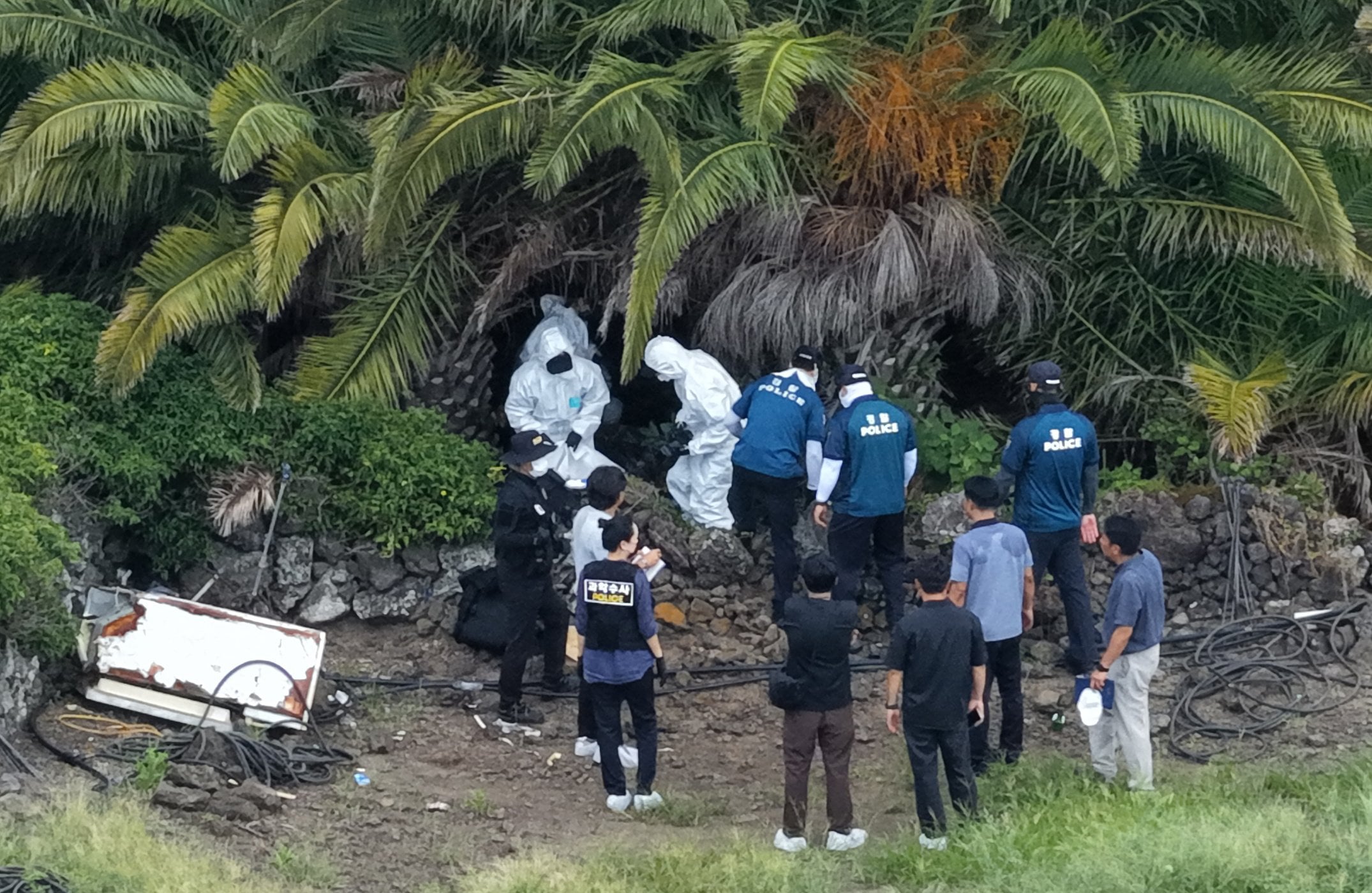 Investigators examine the scene at a palm tree farm in Jeju where the body of missing woman Jang Mi-ran was found on Monday. Photo: Yonhap/EPA