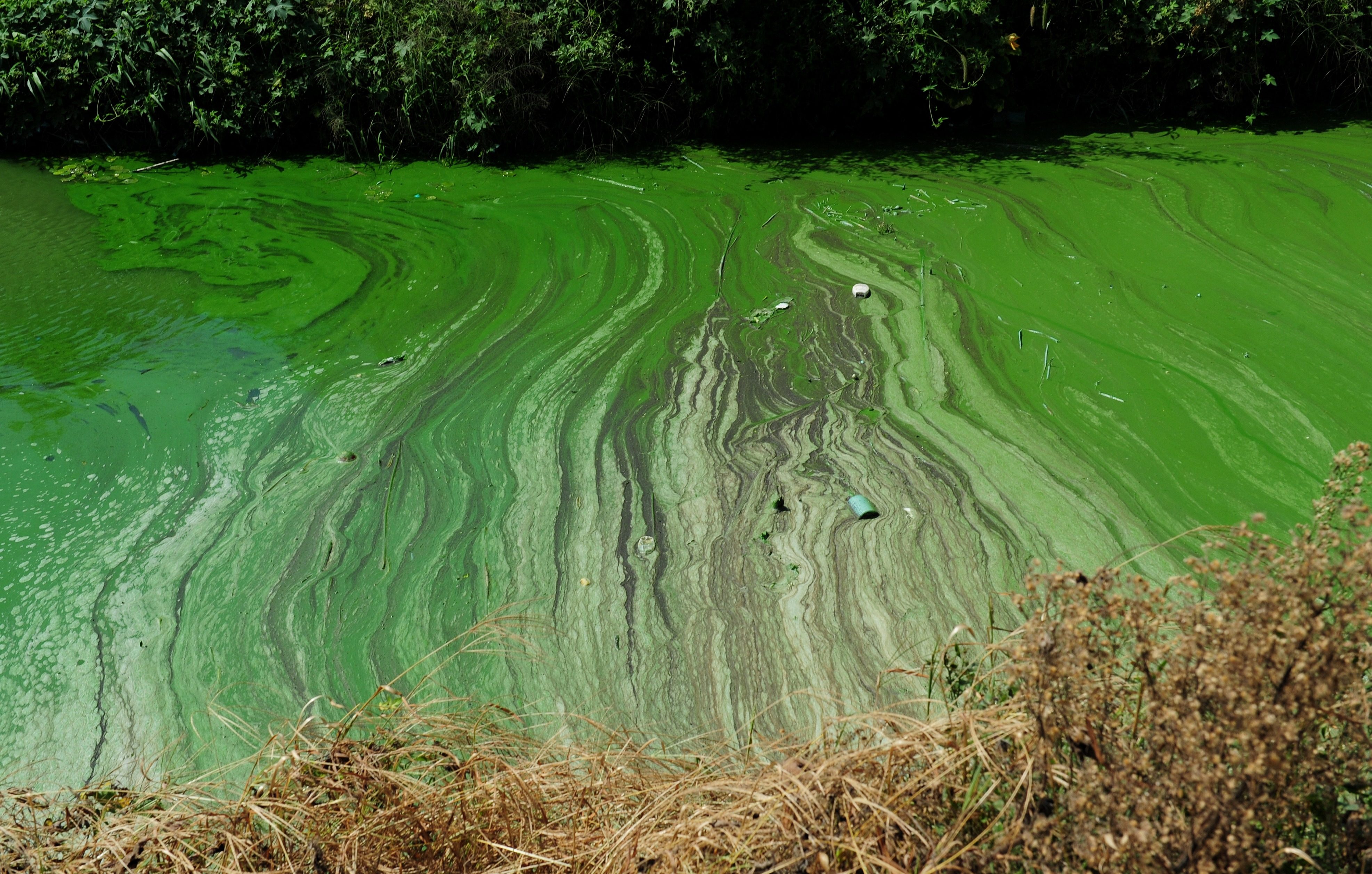Responsibility for environmental health will follow officials throughout their careers and into retirement. Photo: AFP