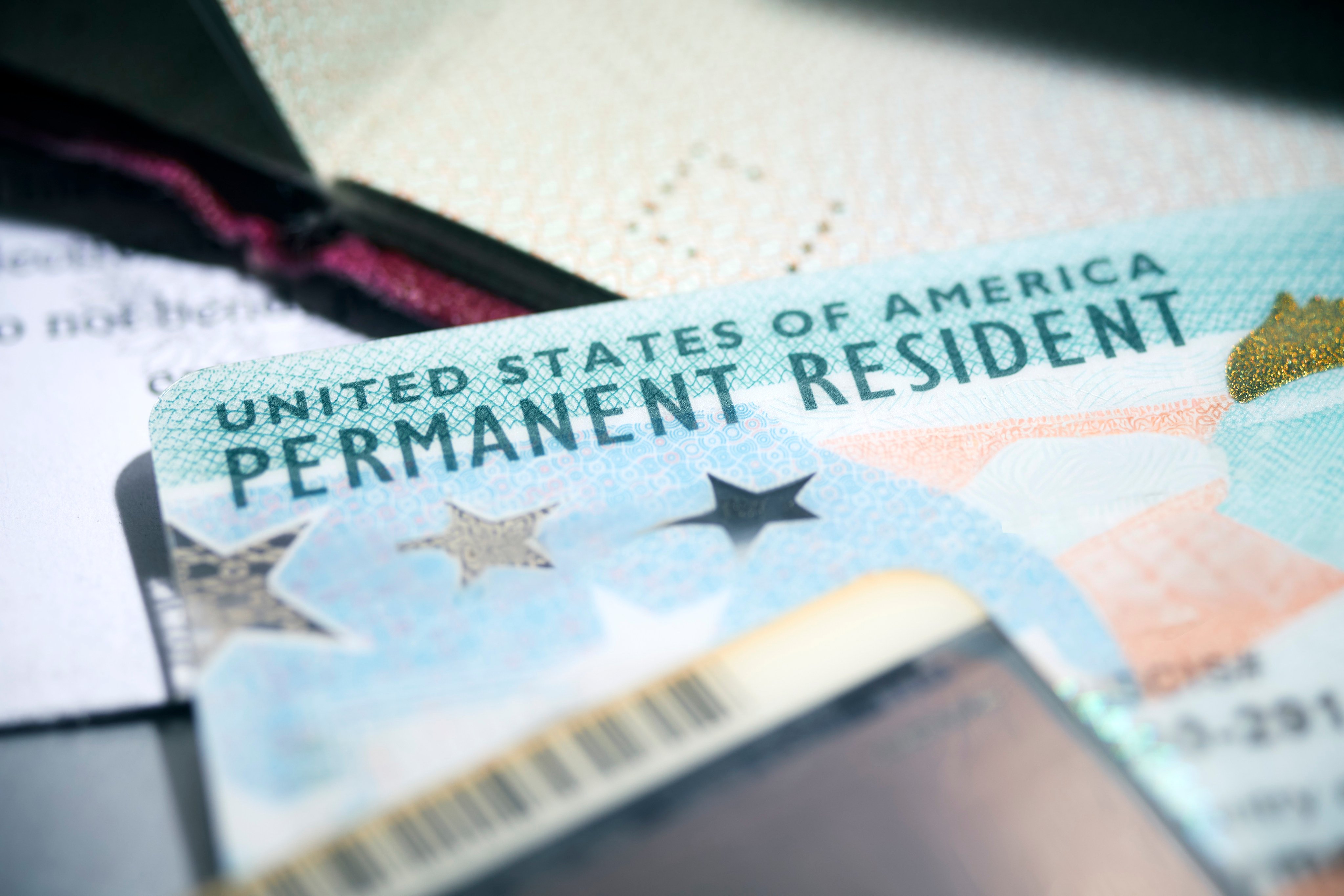 What does the pause on US green card interviews mean for applicants? Photo: Getty Images