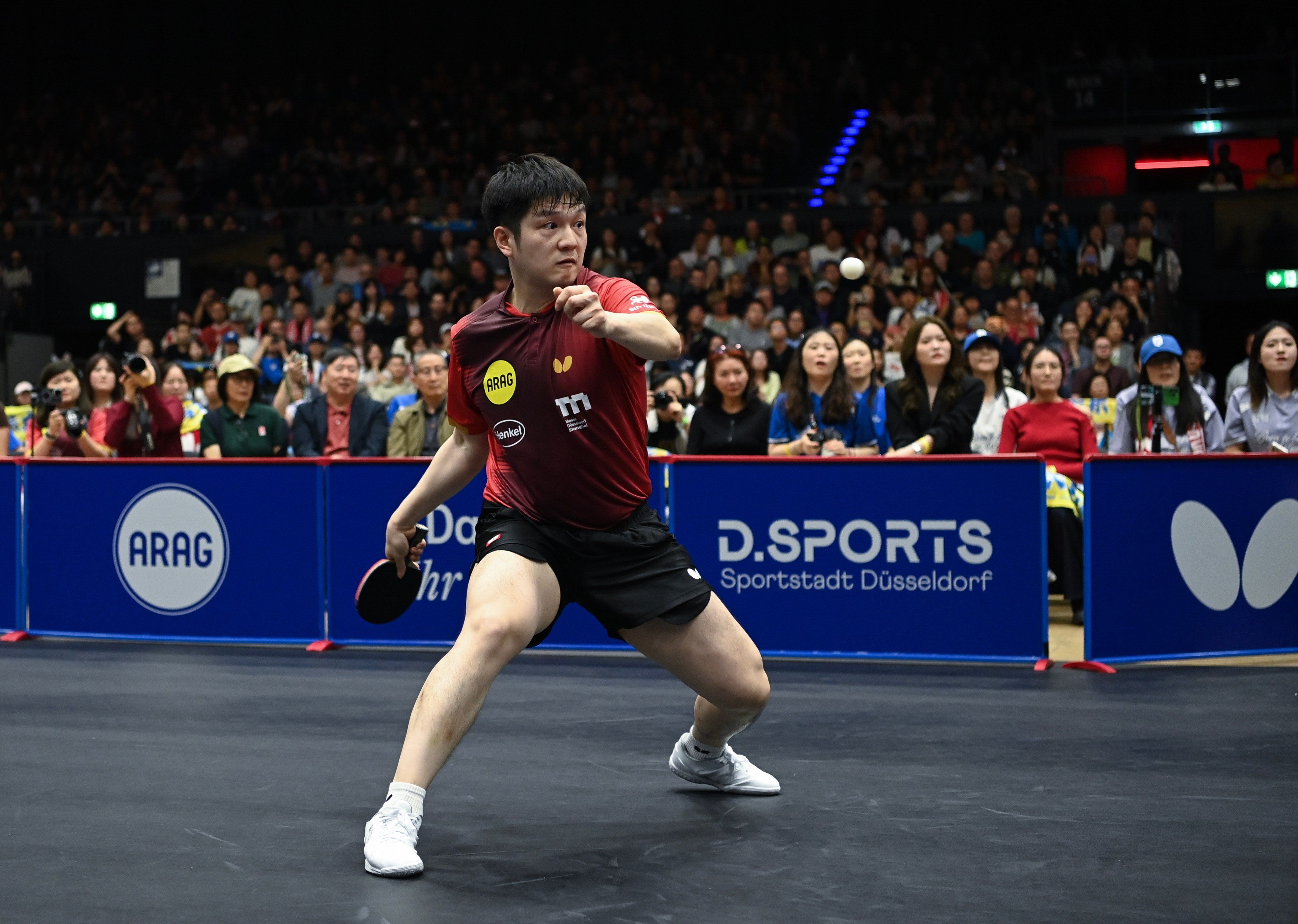 Fan Zhendong has been attracting crowds wherever he goes during his time in Germany. Photo: Xinhua
