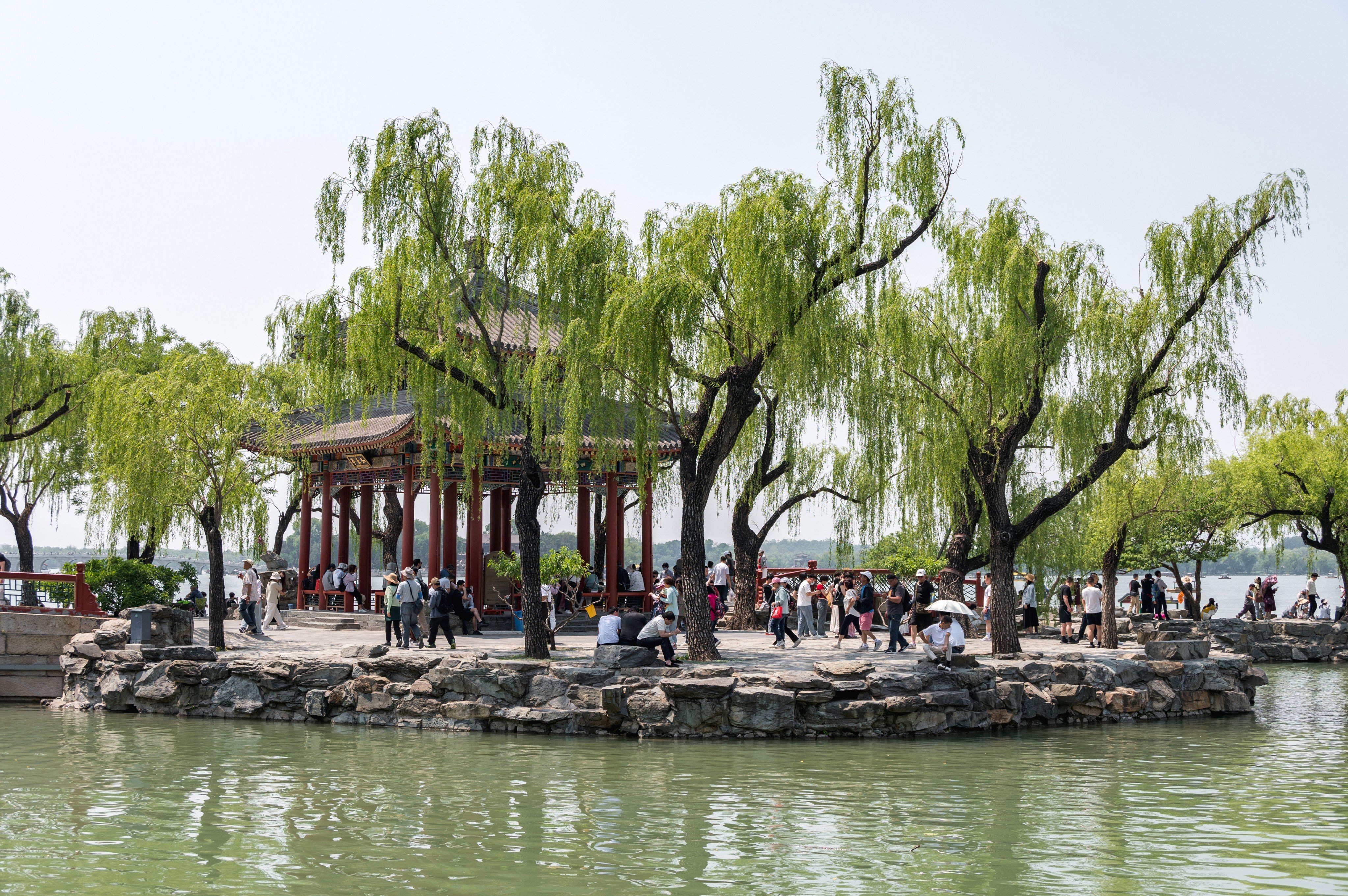 Beijing has an unusually high number of willows and poplars. Photo: Shutterstock