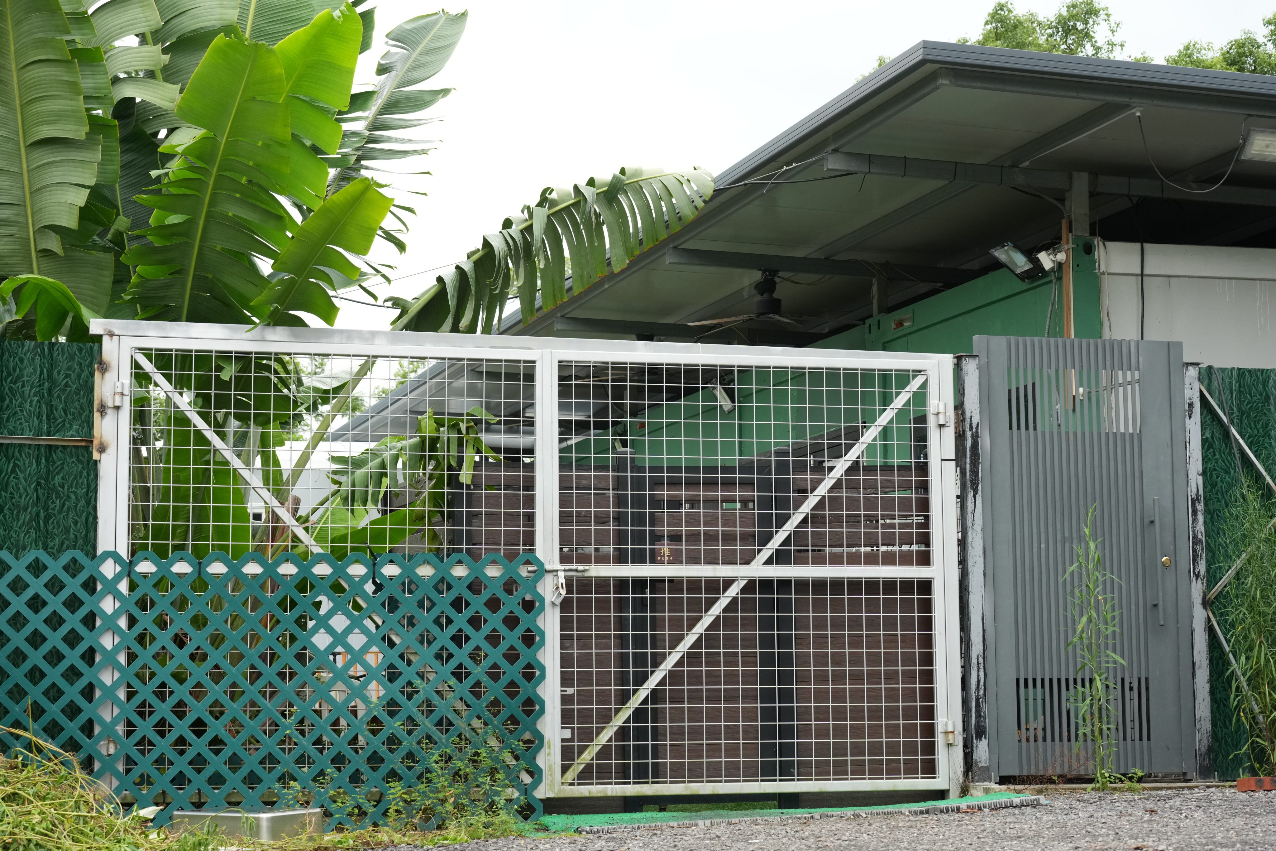 The Pawsgate dog training facility in Ta Kwu Ling on August 21. A 33-year-old woman who operated the facility was found dead after being mauled by a dog. Photo: Jelly Tse