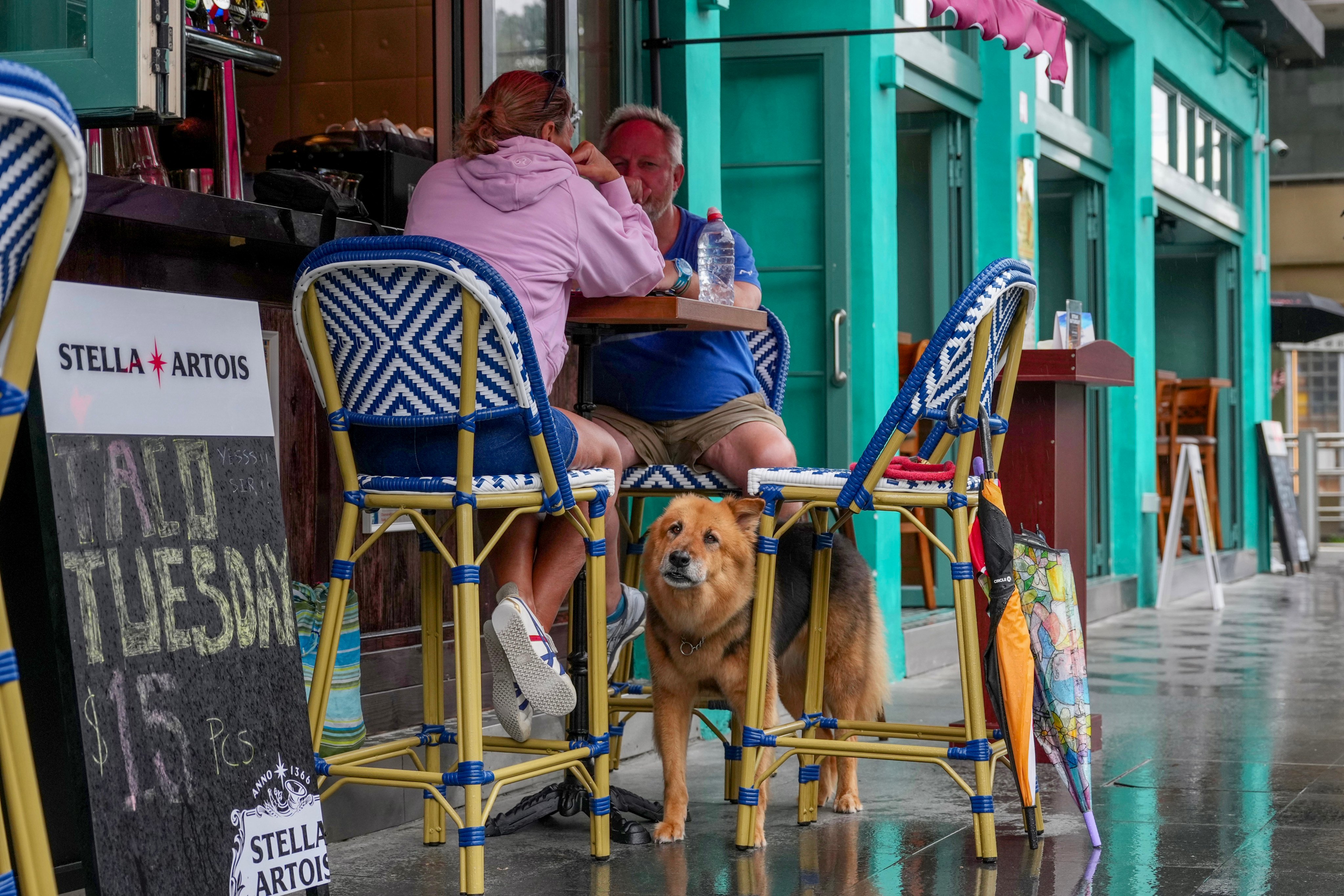 A dog sits outside a bar in Causeway Bay. Photo: Karma Lo