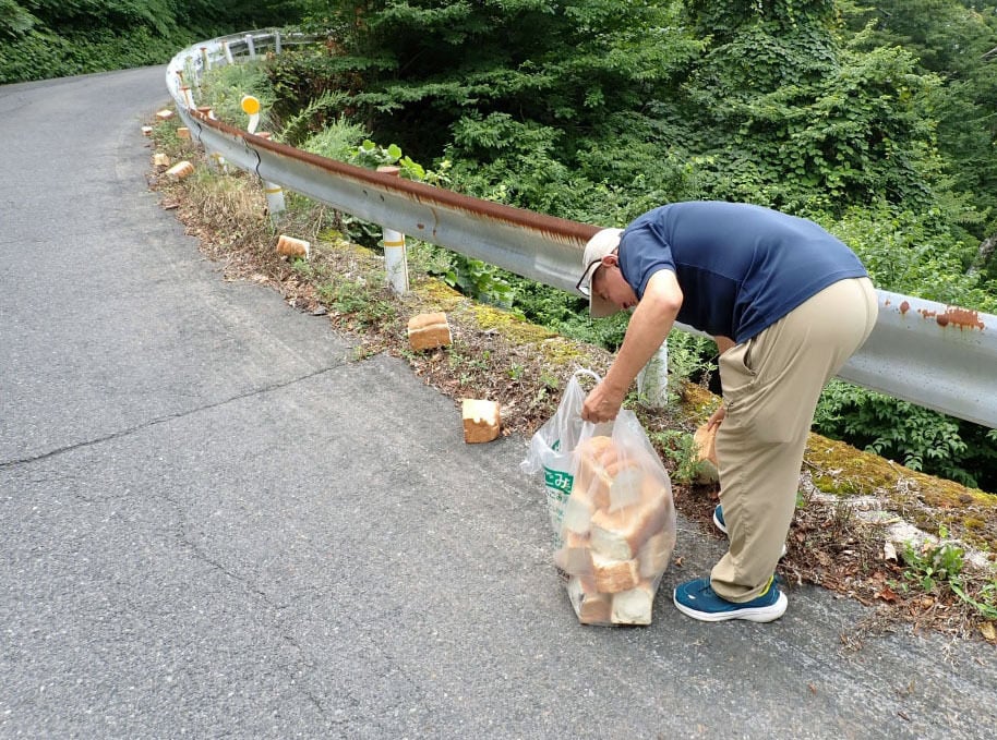 A staff member from the Natural Parks Foundation collects loaves of bread that were left by the side of the road in Daisen-Oki National Park in Tottori Prefecture on Saturday. Photo: Kyodo