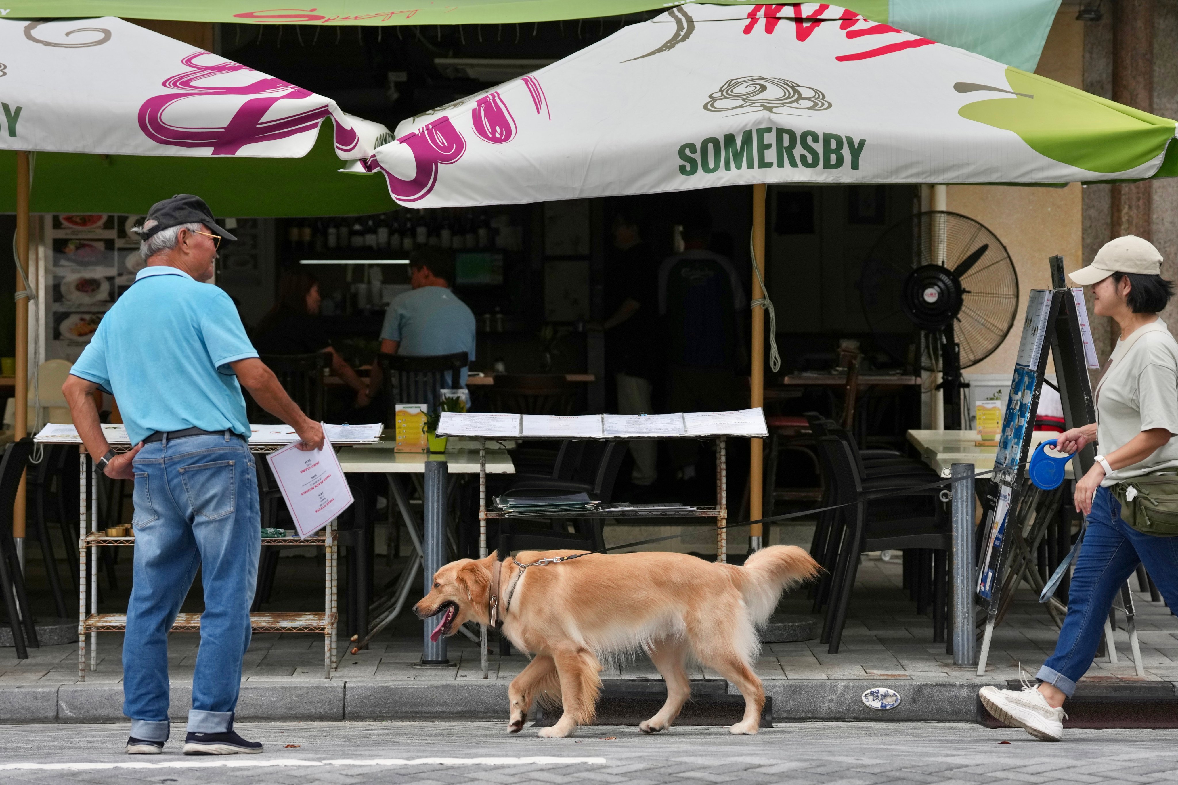 Demand for dog genetic testing surges after Hong Kong clampdown over attacks | South China Morning Post