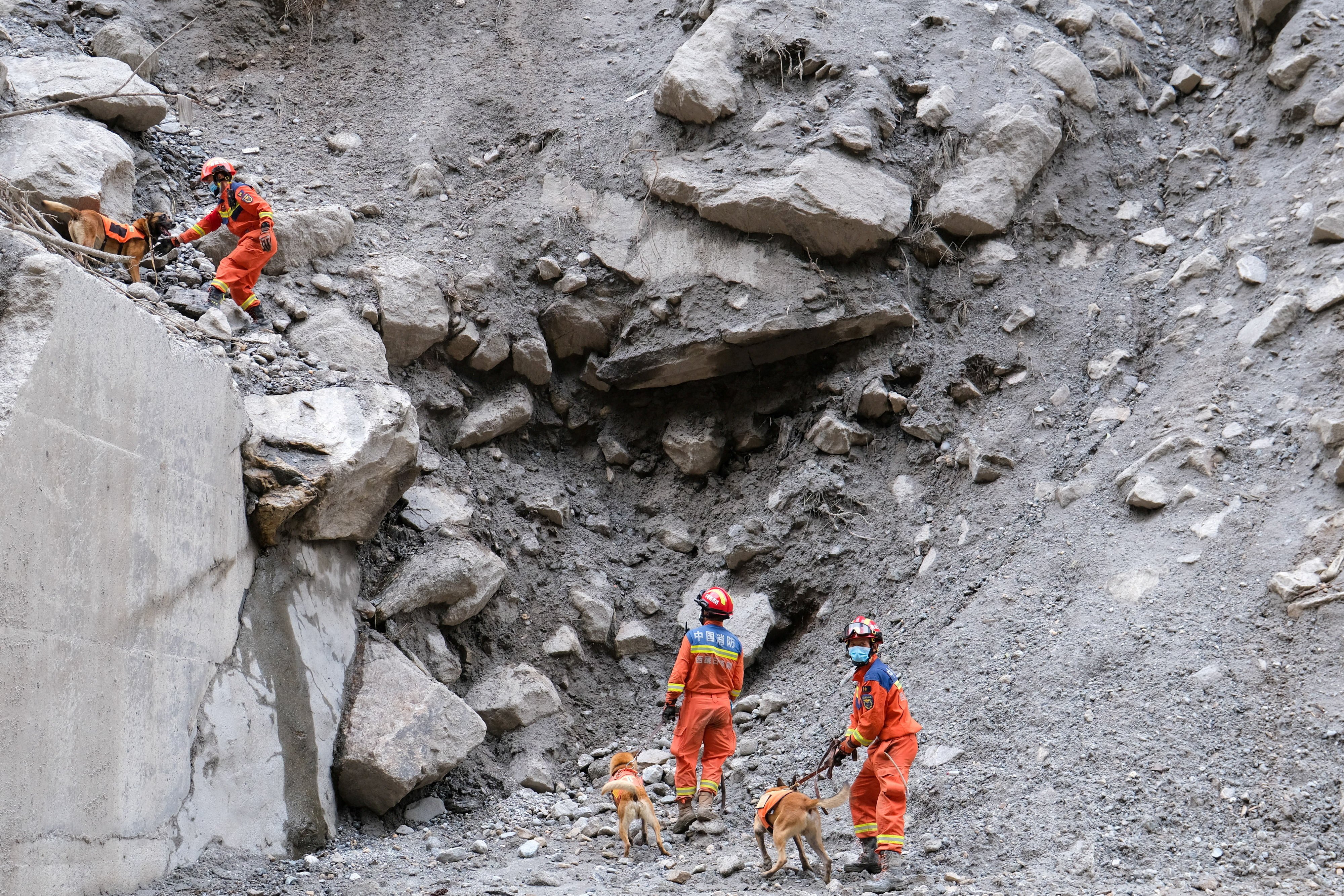 Firefighters and sniffer dogs conduct a search for missing people along a road leading towards Gyirong Port following a mudslide in Shigatse, Tibet autonomous region, China on August 30, 2026. Photo: via Reuters
