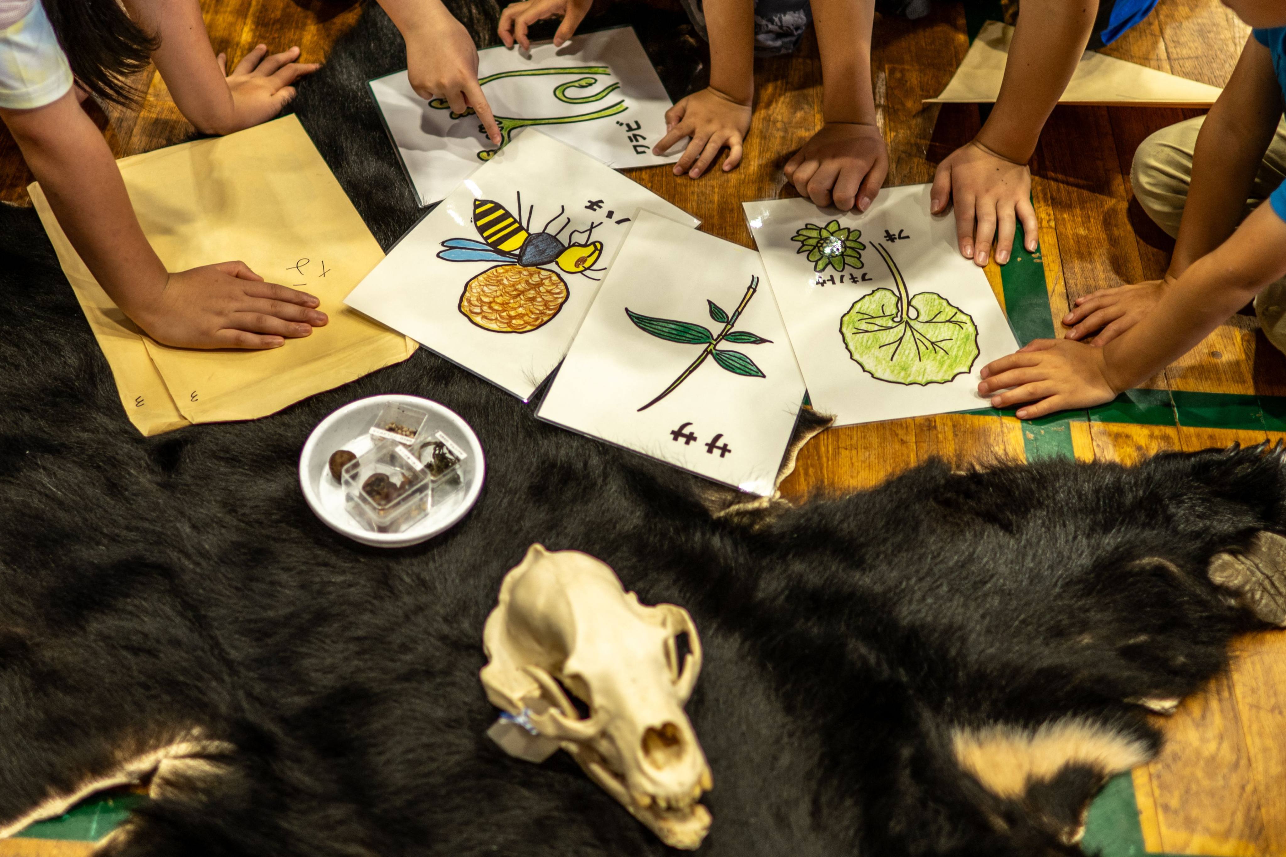 Students attend a workshop by wild bear expert Akiko Takii in Ina city, Nagano prefecture, on July 6. Photo: AFP