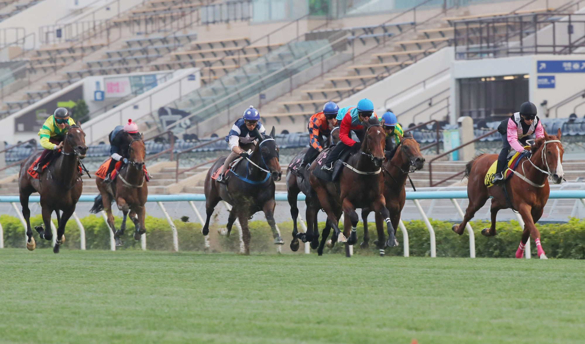 Beauty Waves (right) trials with Ka Ying Rising at Sha Tin back in March.