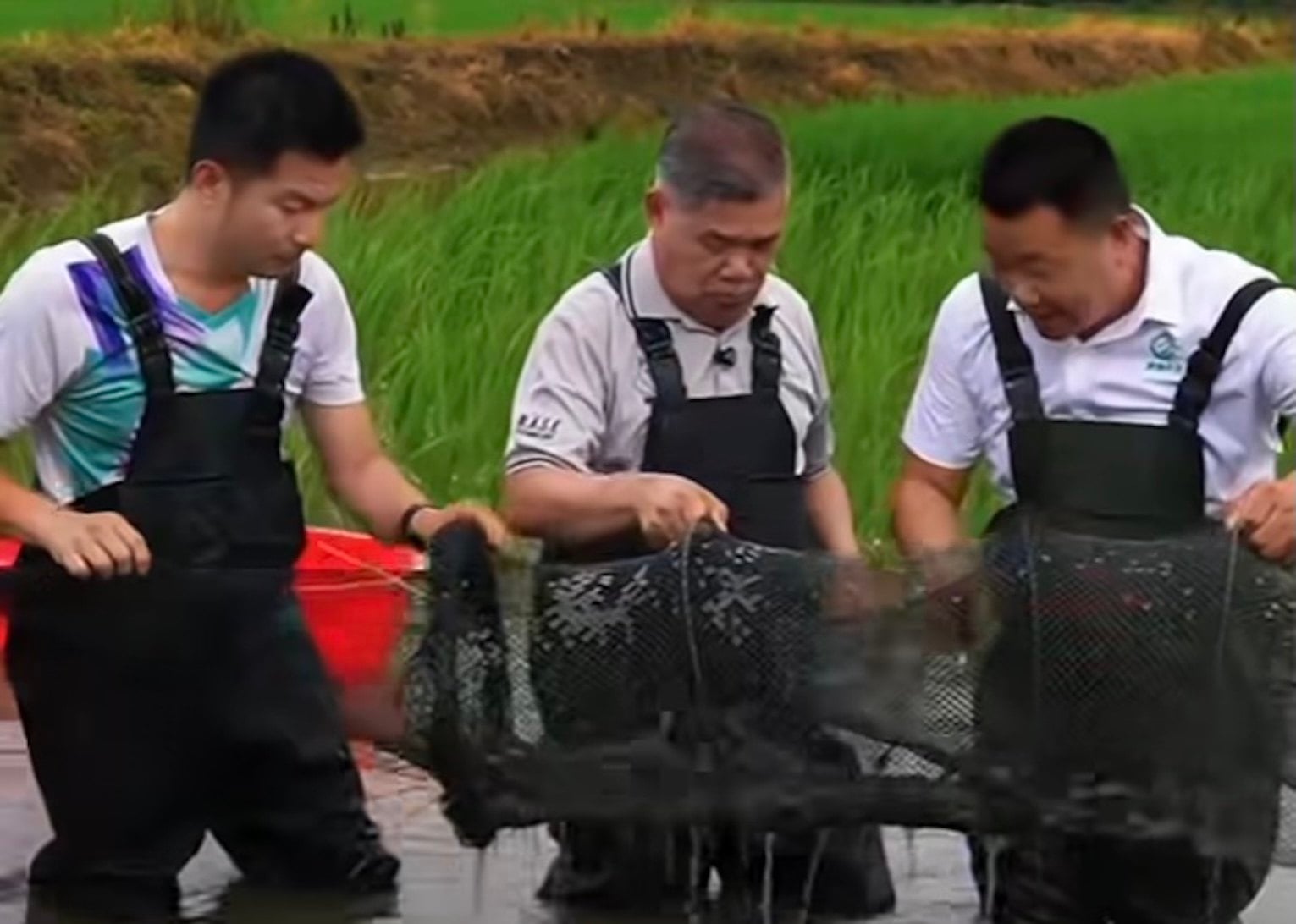 Malaysian Agriculture and Food Security Minister Mohamad Sabu (centre) visits a rice-prawn farm in the city of Wuhu in China’s eastern Anhui province in August. Photo: Facebook/Mohamad Sabu