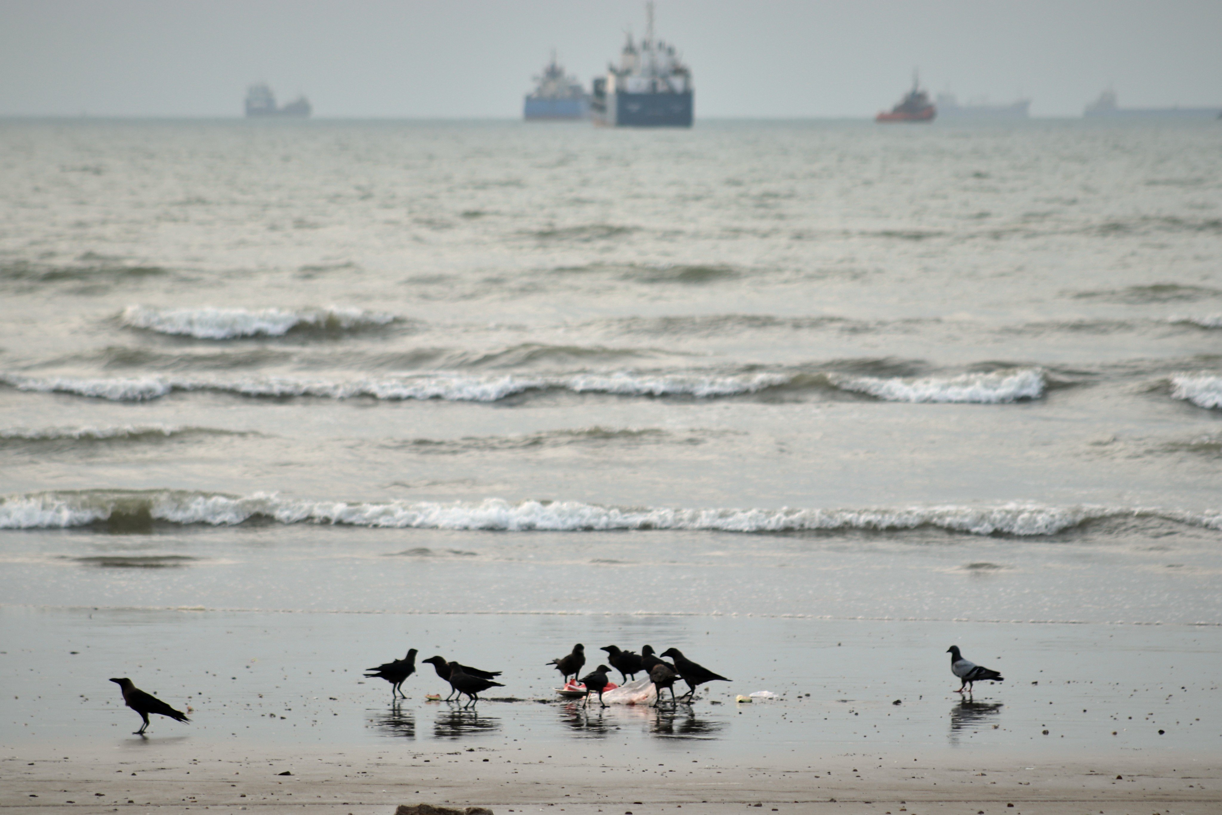 Commercial vessels lie anchored in the Strait of Hormuz off Bandar Abbas, Iran,  on Wednesday. Photo: AP