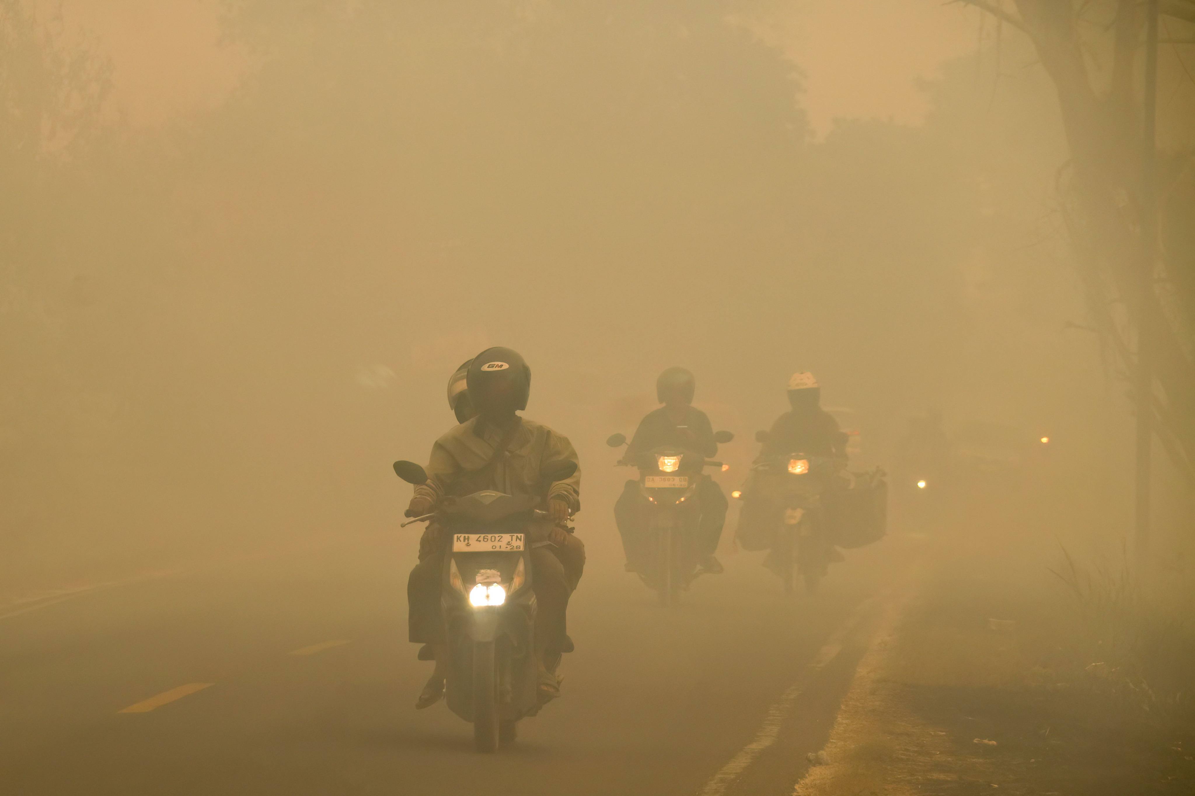 Motorcyclists ride on a haze-shrouded road caused by forest and land fires in Central Kalimantan, Indonesia, on Friday. Photo: AFP
