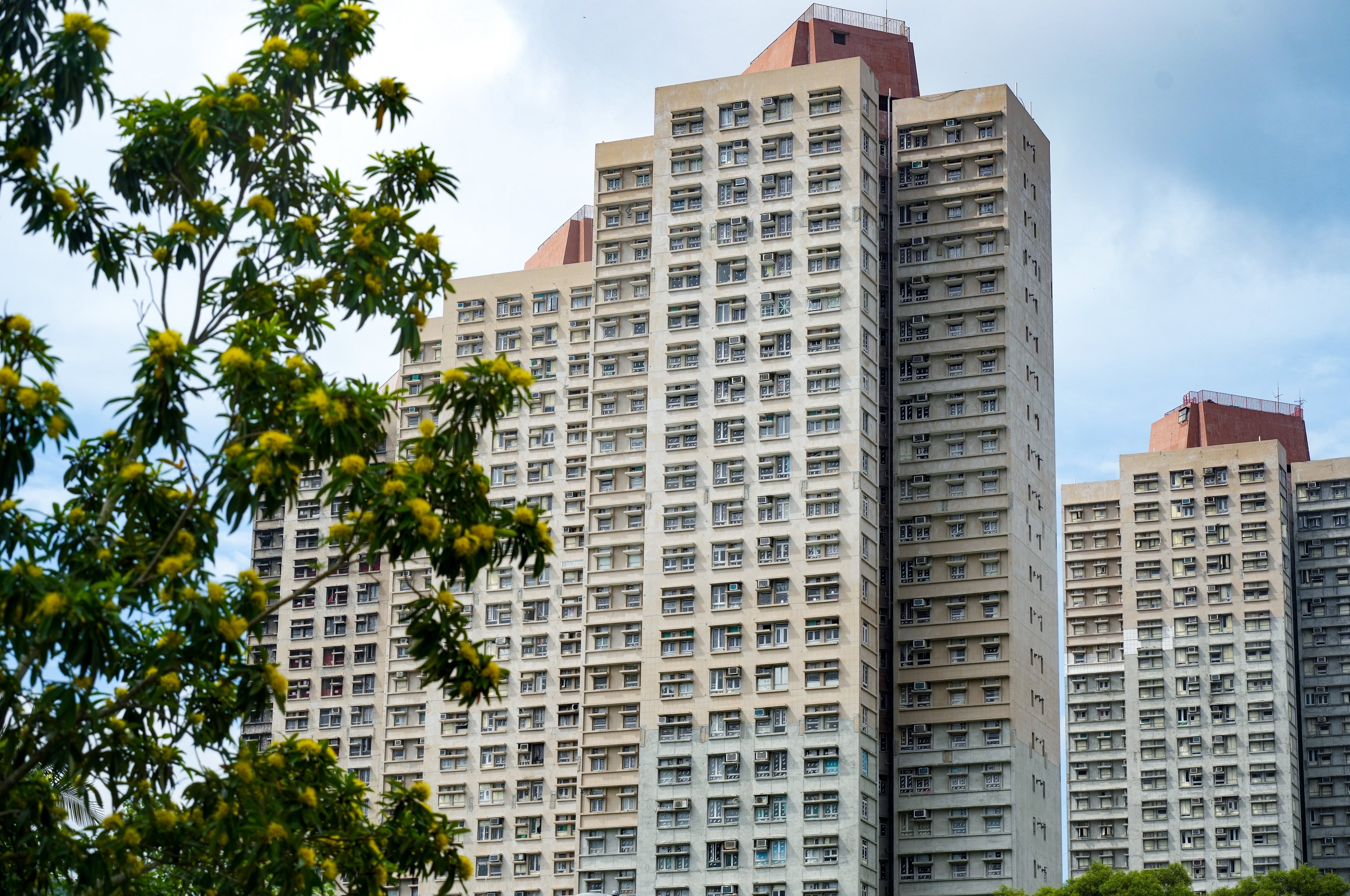 Wang Chi House was the only block to be spared the worst of the fire at Wang Fuk Court. Photo: Sun Yeung