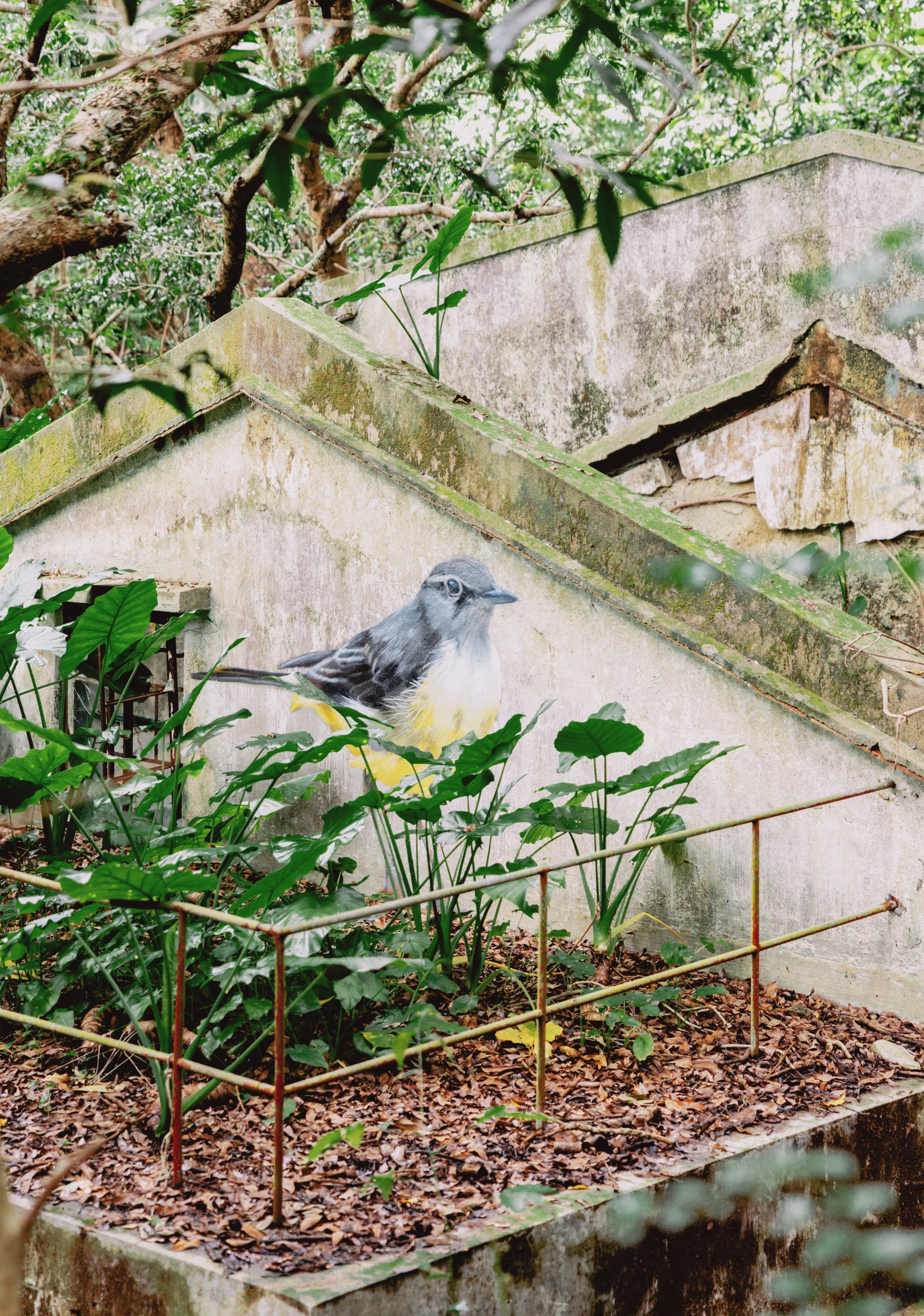 Hong Kong has more than 580 species of birds. Photo: Jocelyn Tam