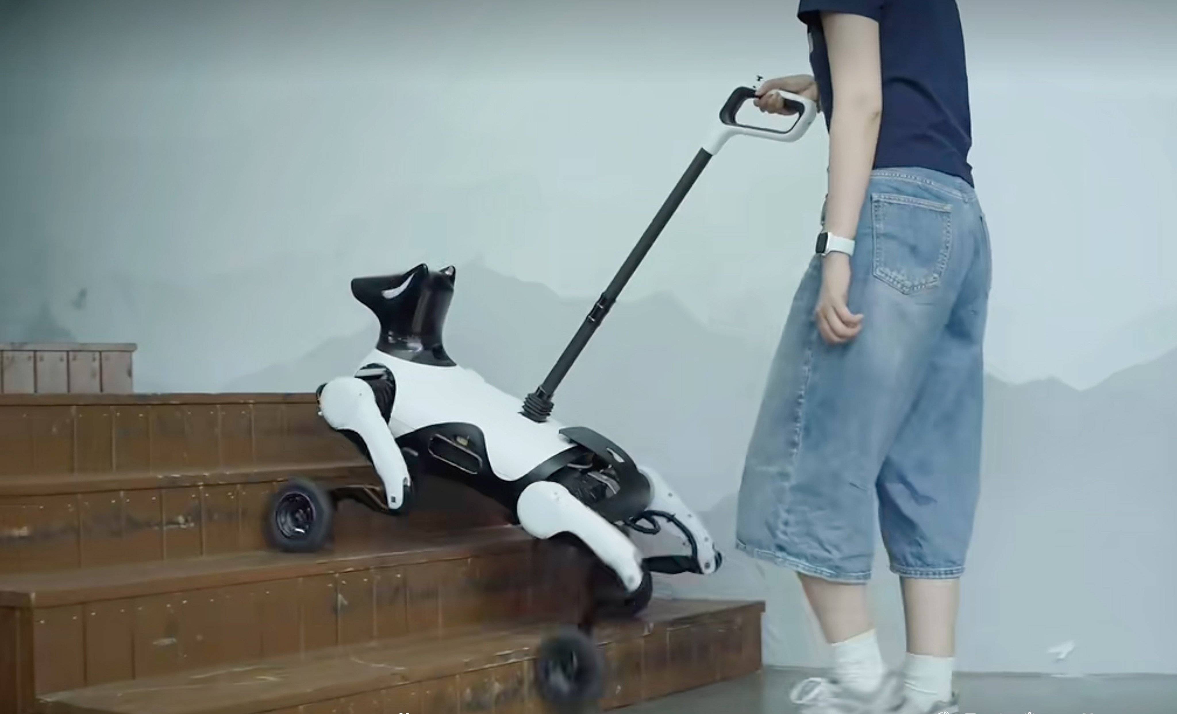 Hangzhou-based Zhiyuan Research Institute’s robot guide dog has wheels for smooth movement on flat ground and legs for climbing stairs. Photo: Handout
