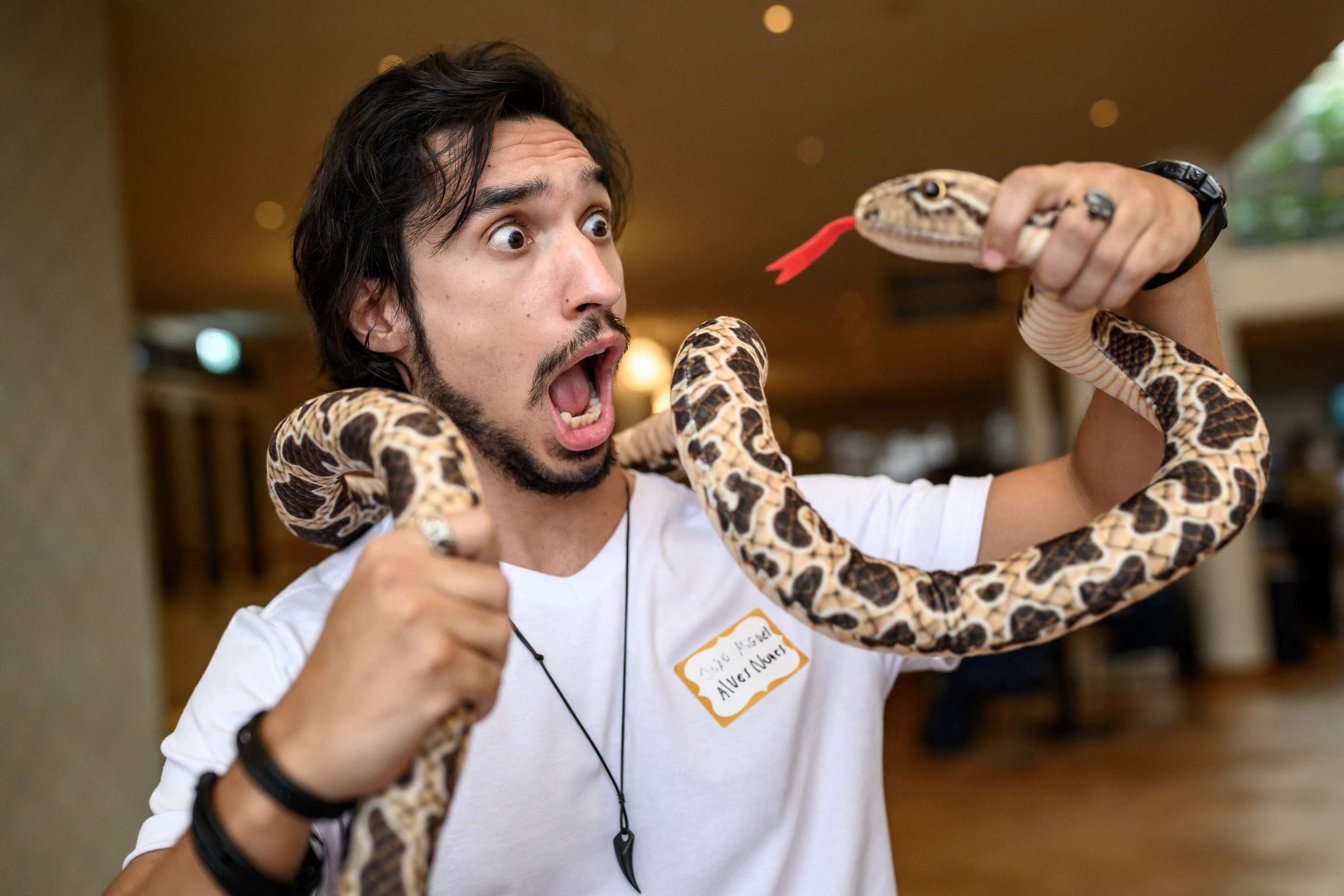 Brazilian biologist Joao Miguel Alves-Nunes poses with a fake snake. He and his team were awarded the Ig Nobel in biology for gently stepping on various parts of various venomous snakes repeatedly at various temperatures at various times of day to try to learn what does and what does not induce a venomous snake to bite a human. Photo: AFP
