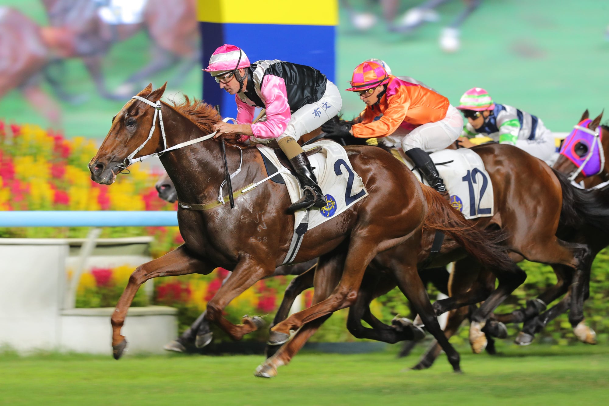 Max Que (orange) goes close at Sha Tin last season. Max Que (orange) goes close at Sha Tin last season.