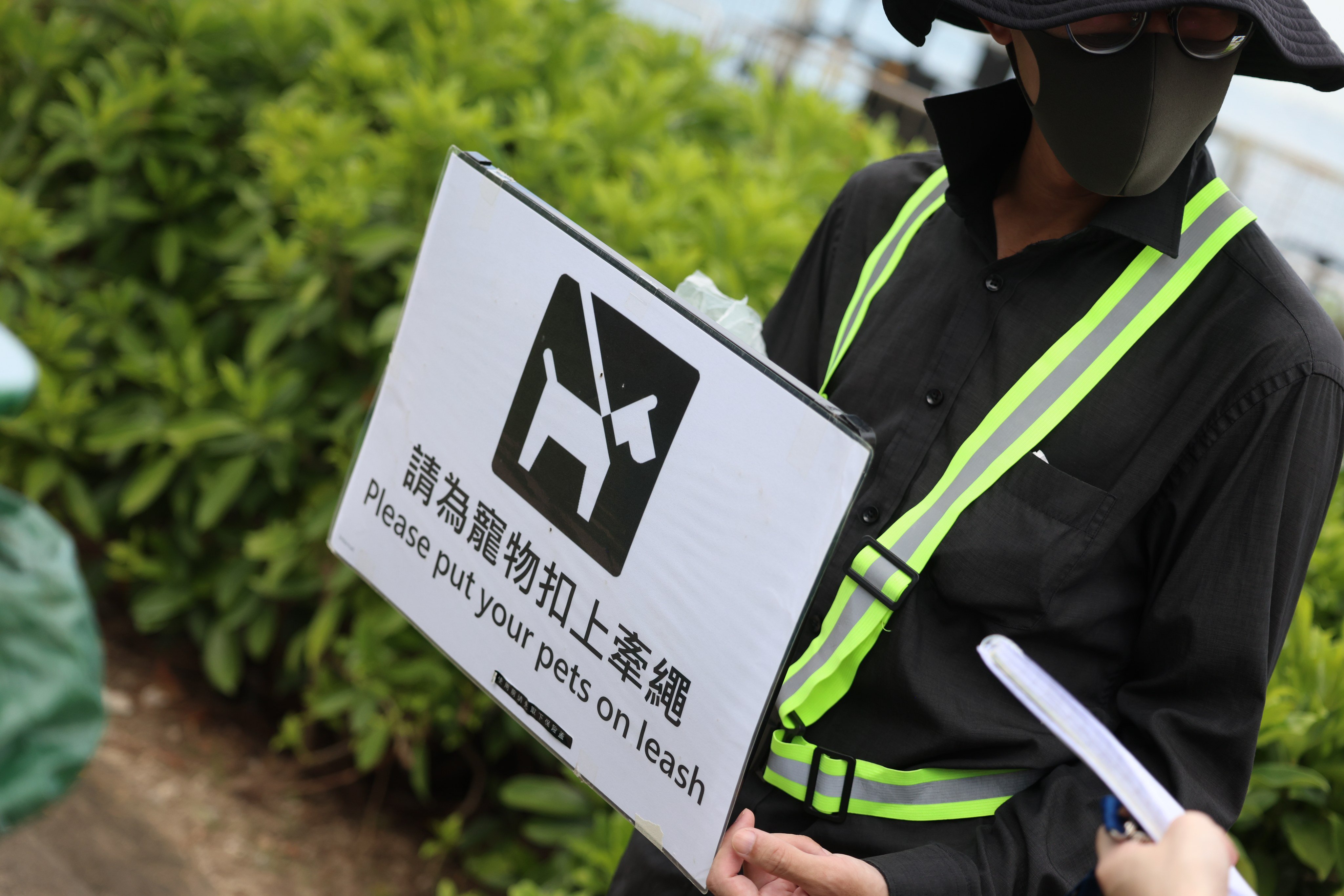 Hong Kong authorities have intensified enforcement against dog owners who fail to control their pets. Photo: Silvia Siu