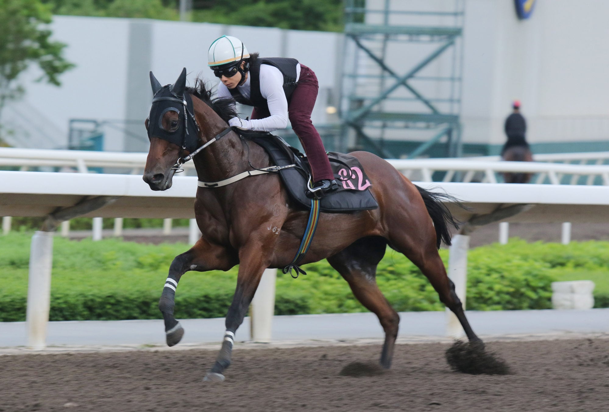 Ka Ying Rising gallops on the all-weather track at Sha Tin on Thursday morning. Ka Ying Rising gallops on the all-weather track at Sha Tin on Thursday morning.