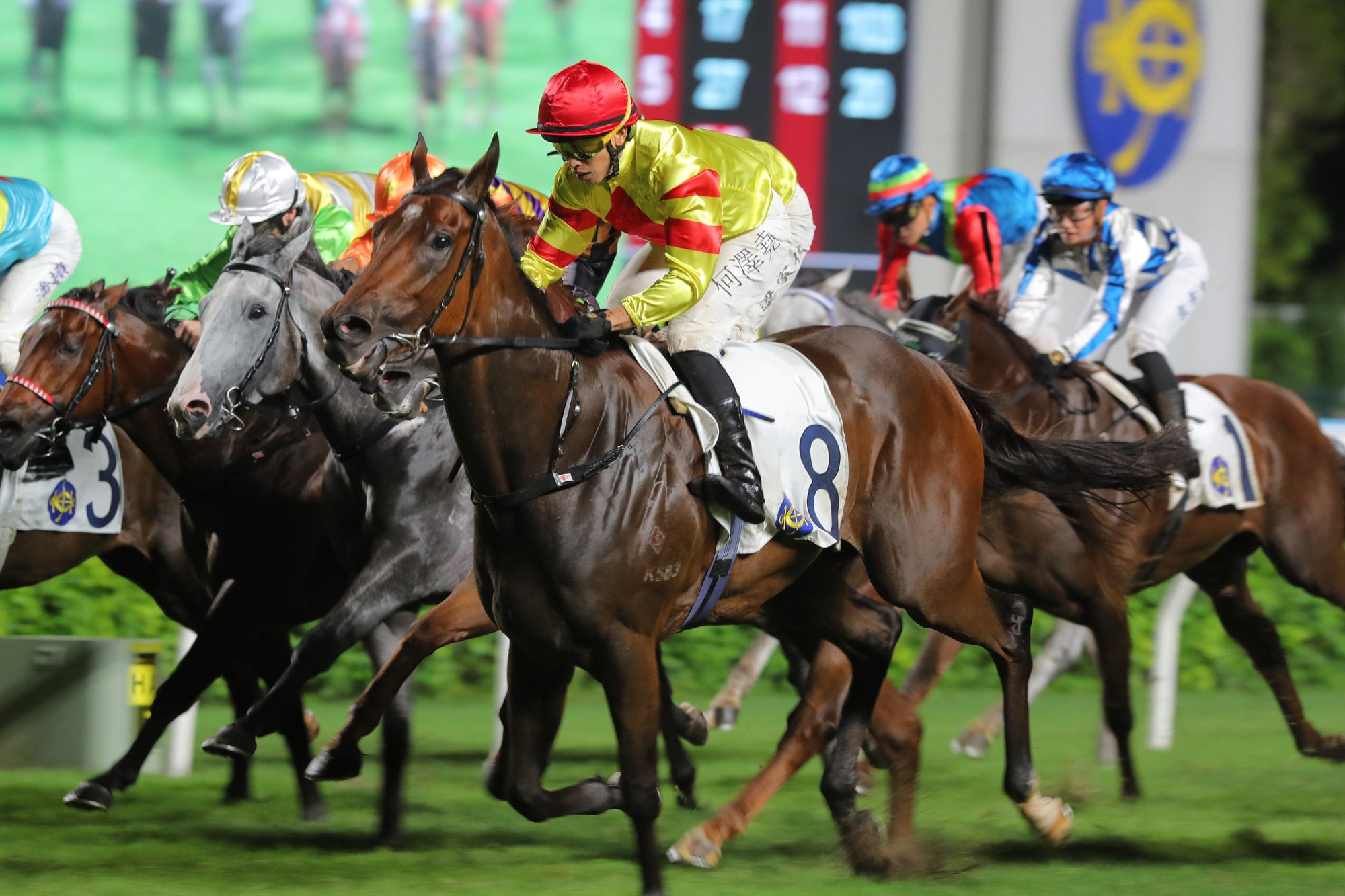 Hot Delight storms to victory at Sha Tin in June. Hot Delight storms to victory at Sha Tin in June.