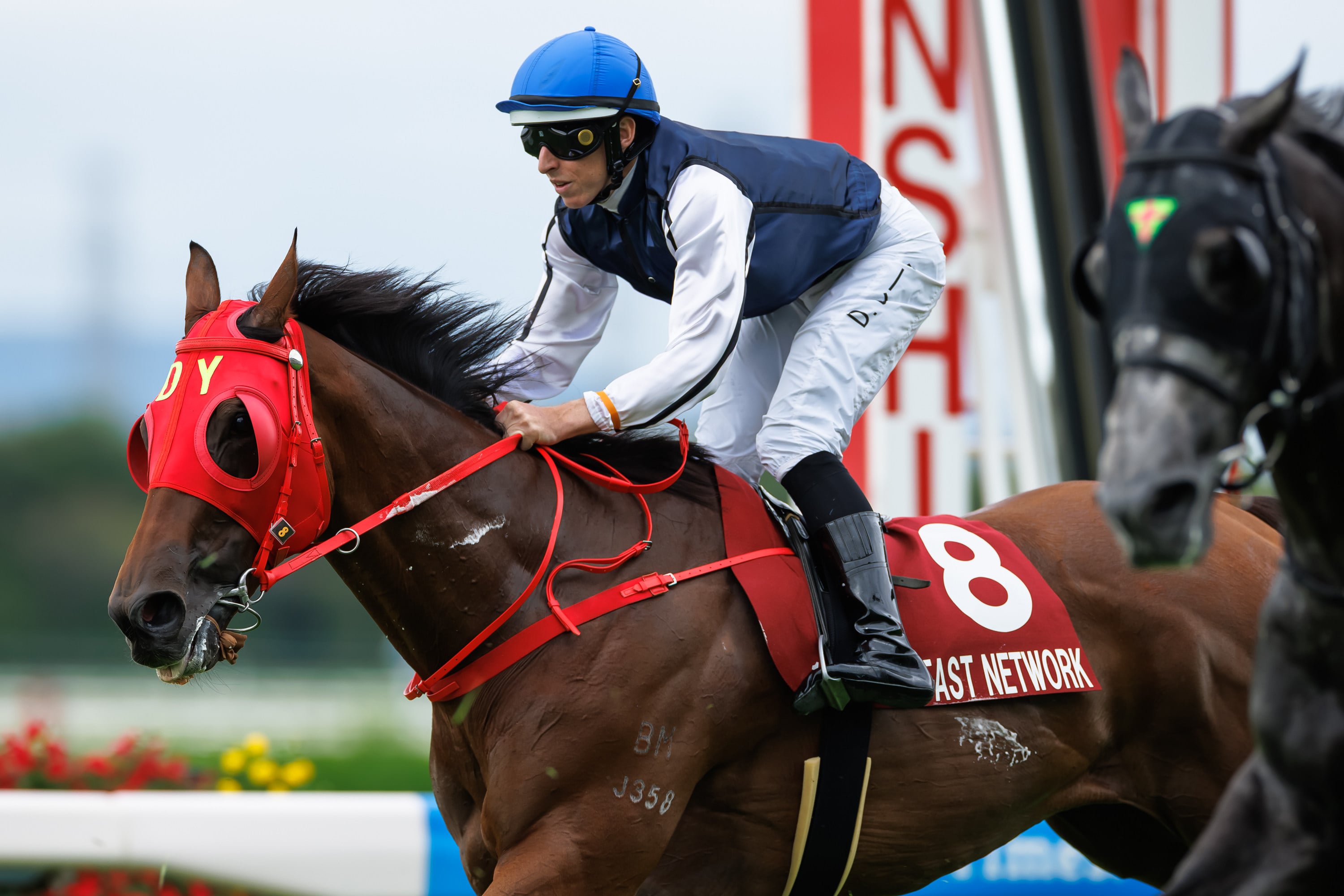 Fast Network and Damian Lane cross the line at Hanshin. Photo: Handout