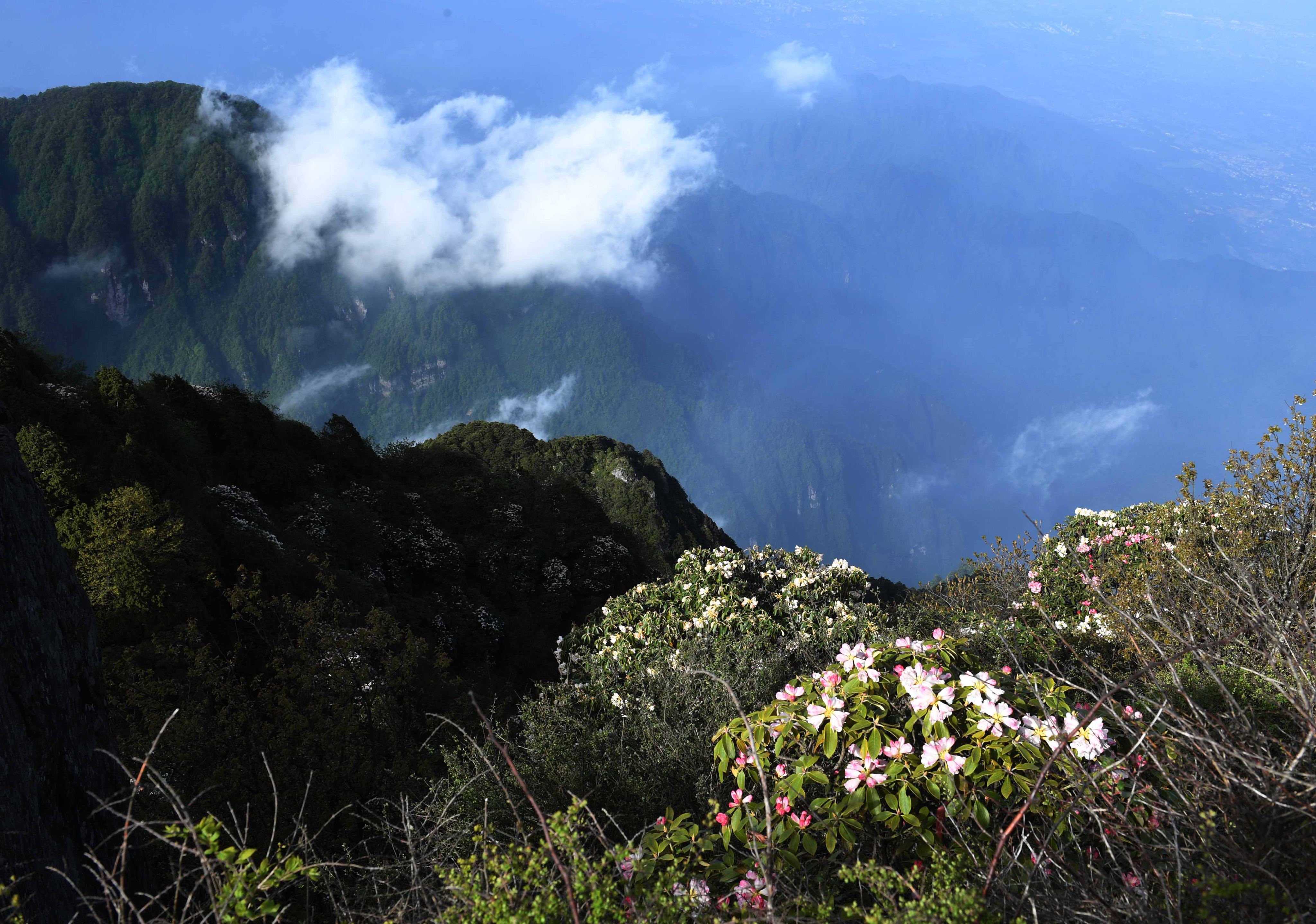 Some pseudo-historians claim Mount Emei (pictured) in China's Sichuan province “is the Alps” because their Chinese names are similar. Photo: Xinhua