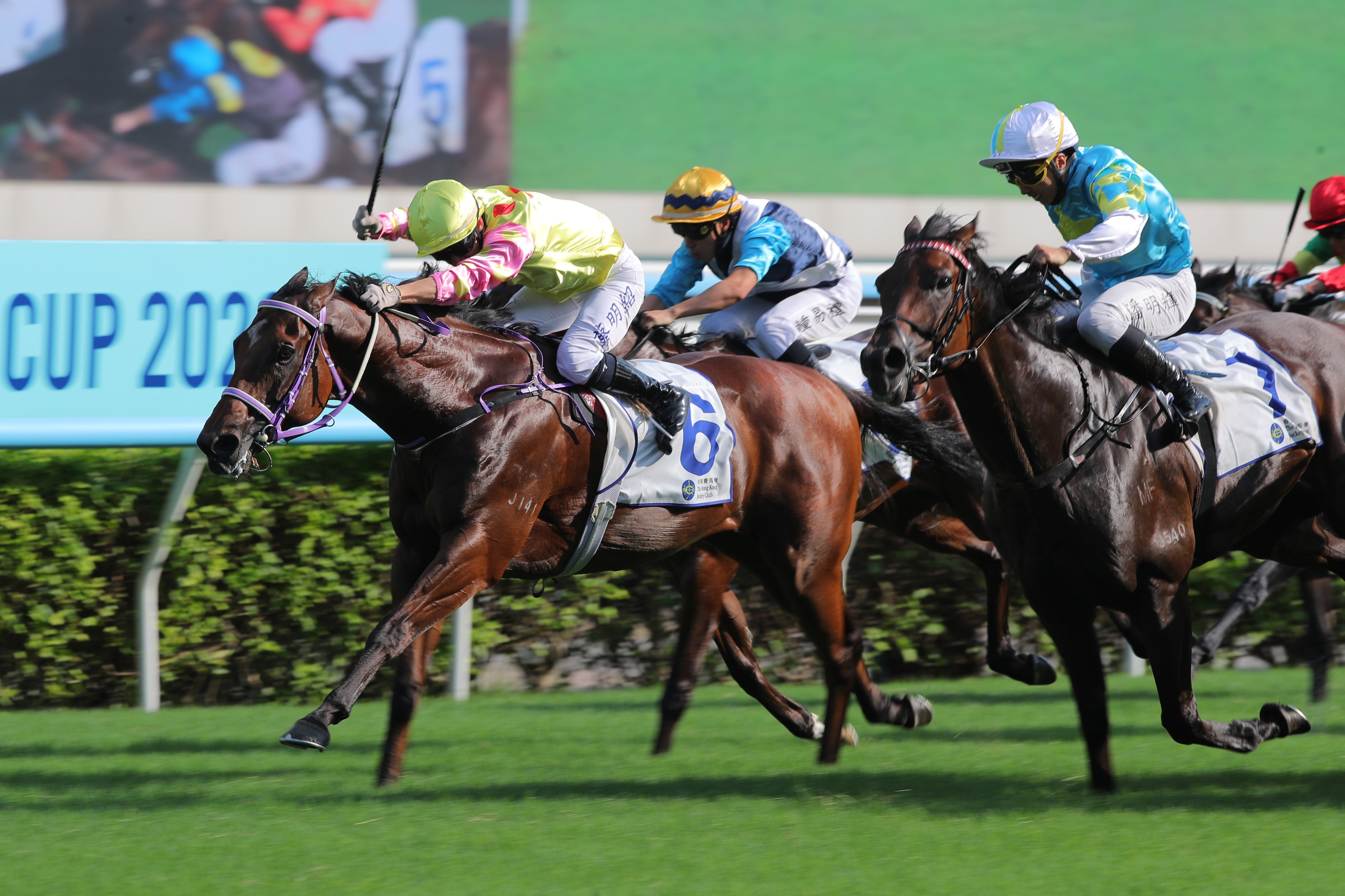Matthew Chadwick guides Sing Dragon to an upset victory at Sha Tin. Photos: Kenneth Chan