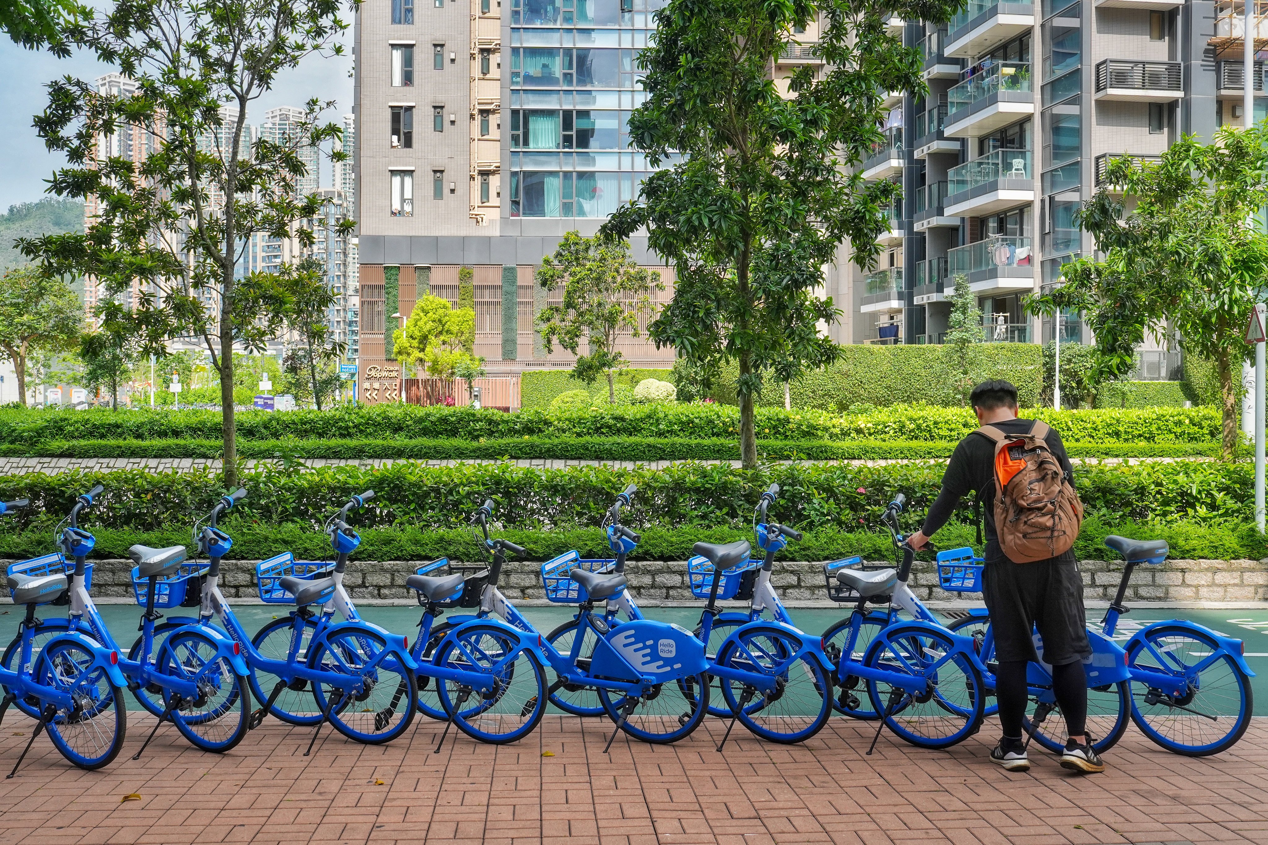 HelloRide bicycles parked along the cycling track in Tseung Kwan O.  Photo: Elson Li