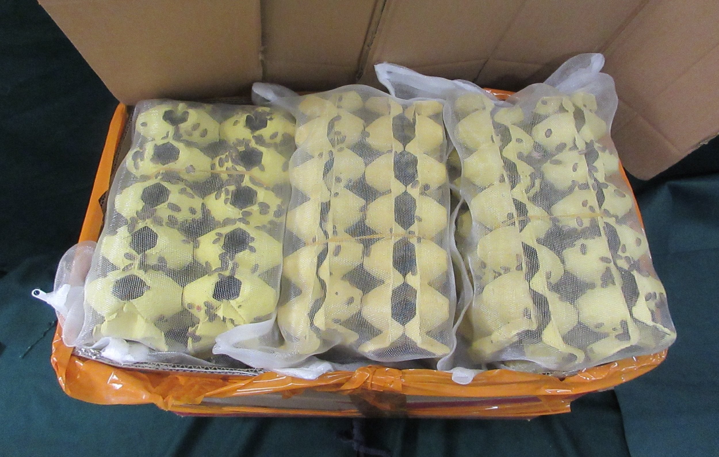 The seized dubia roaches have an estimated market value of HK$3,900. Photo: Handout
