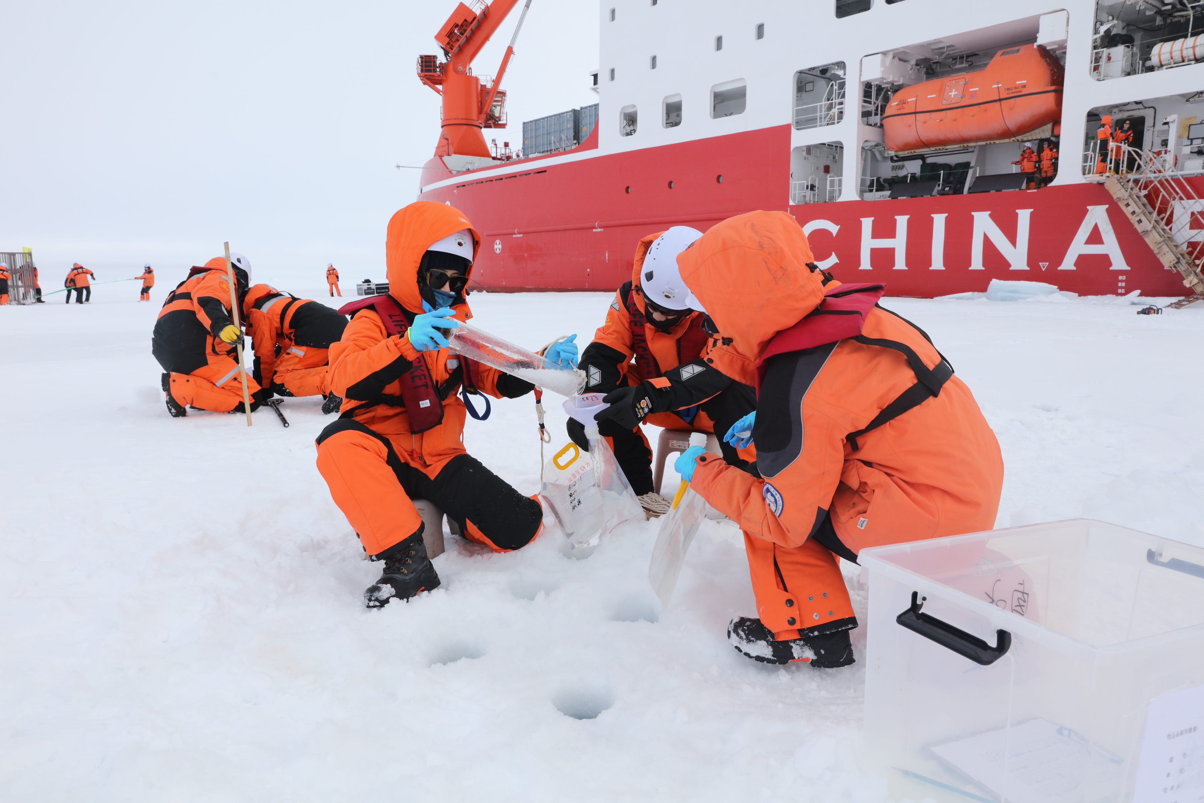 Members of China’s 16th Arctic Ocean Expedition team collect samples on August 9, 2026. Photo: Xinhua