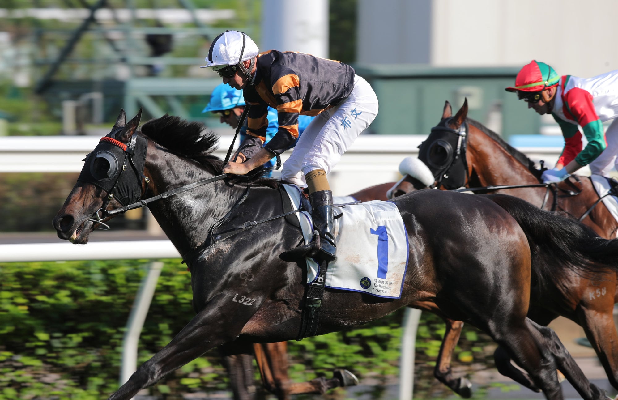 Hugh Bowman boots home Joyful Joy on Sunday. Hugh Bowman boots home Joyful Joy on Sunday.