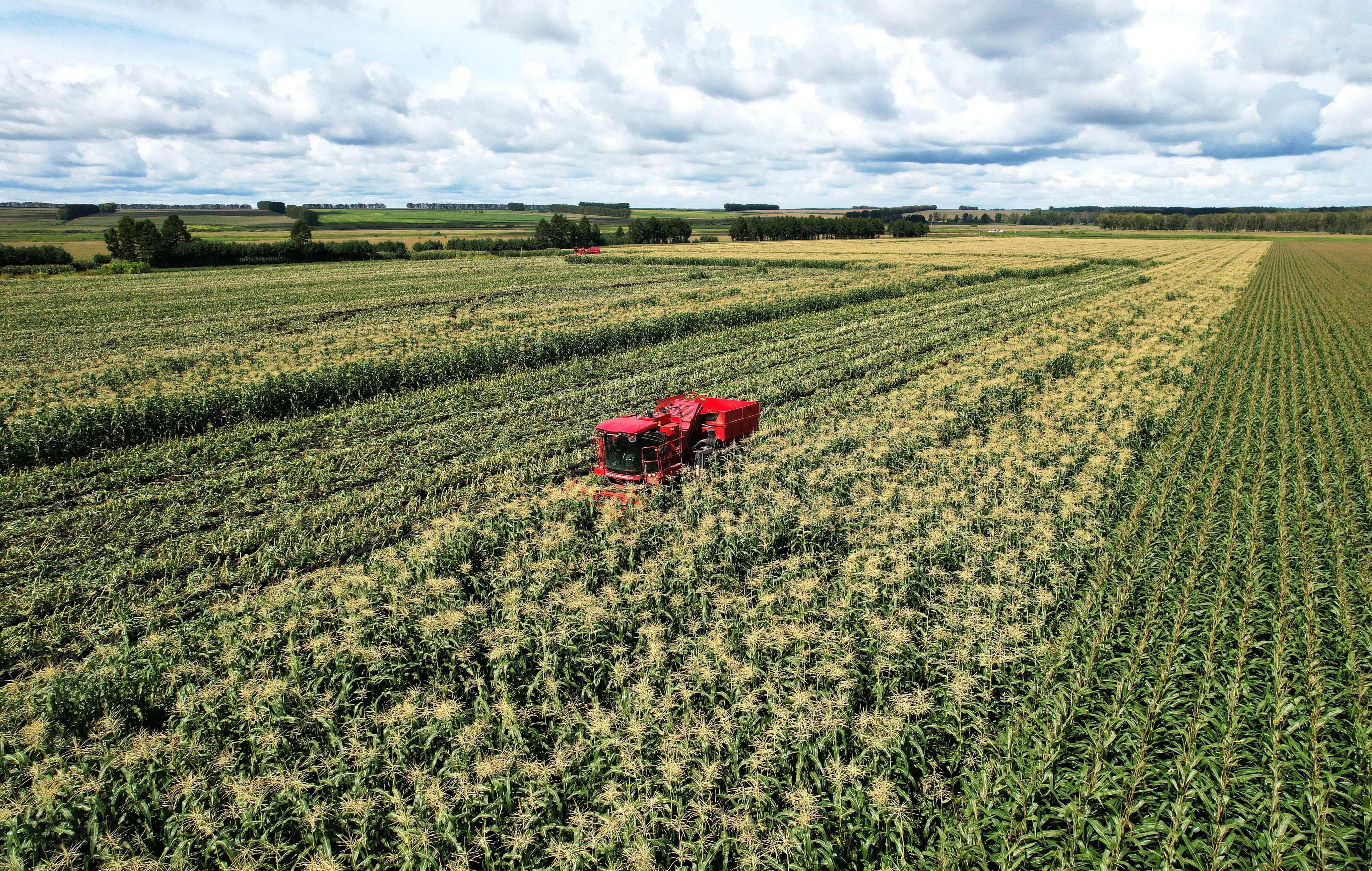scmp.com - Sherry Wang - A potential food crisis threatens the world, but impact on China may be limited
