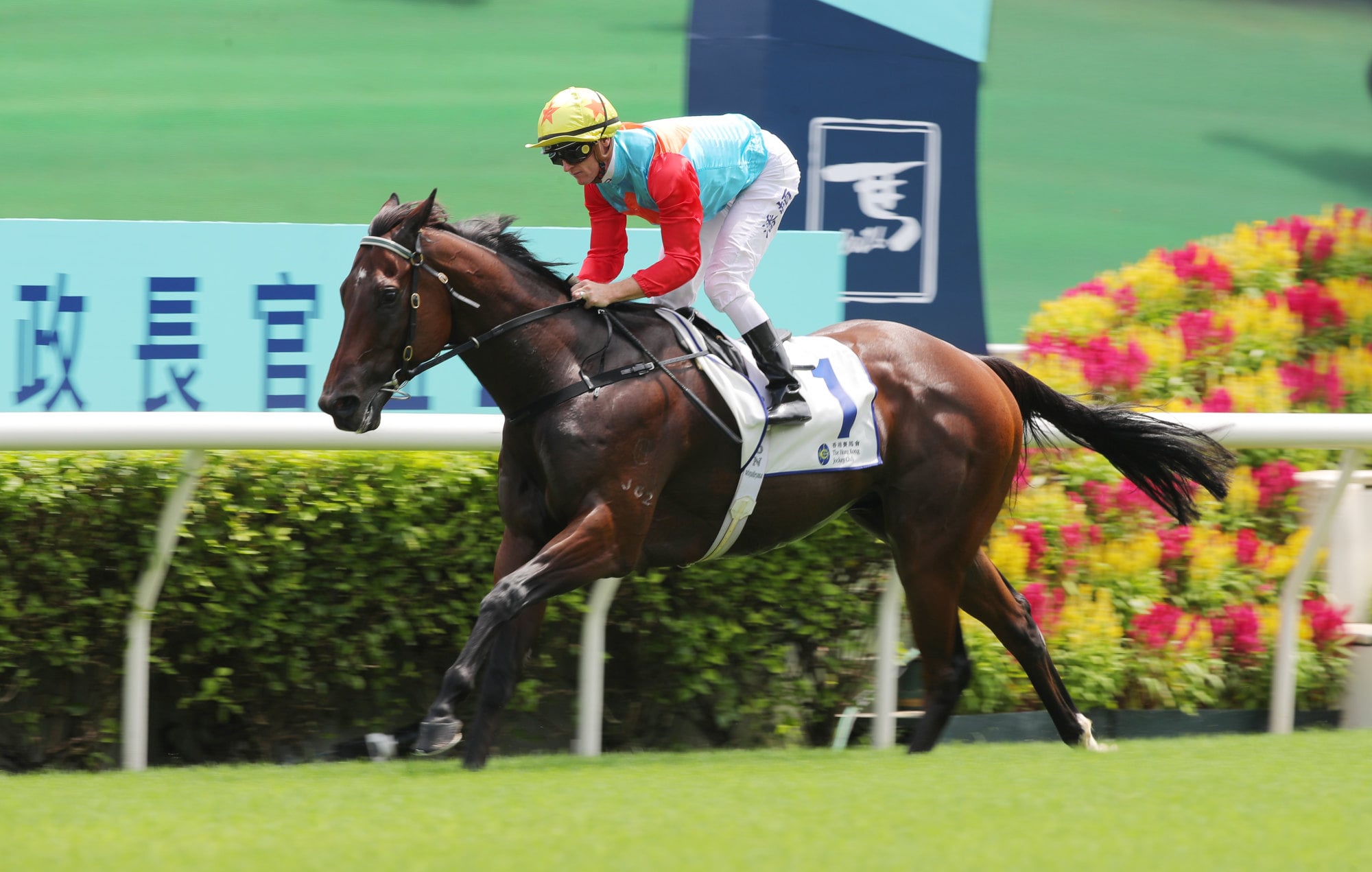 Ka Ying Rising scores by seven and three-quarter lengths in an explosive seasonal return. Ka Ying Rising scores by seven and three-quarter lengths in an explosive seasonal return.