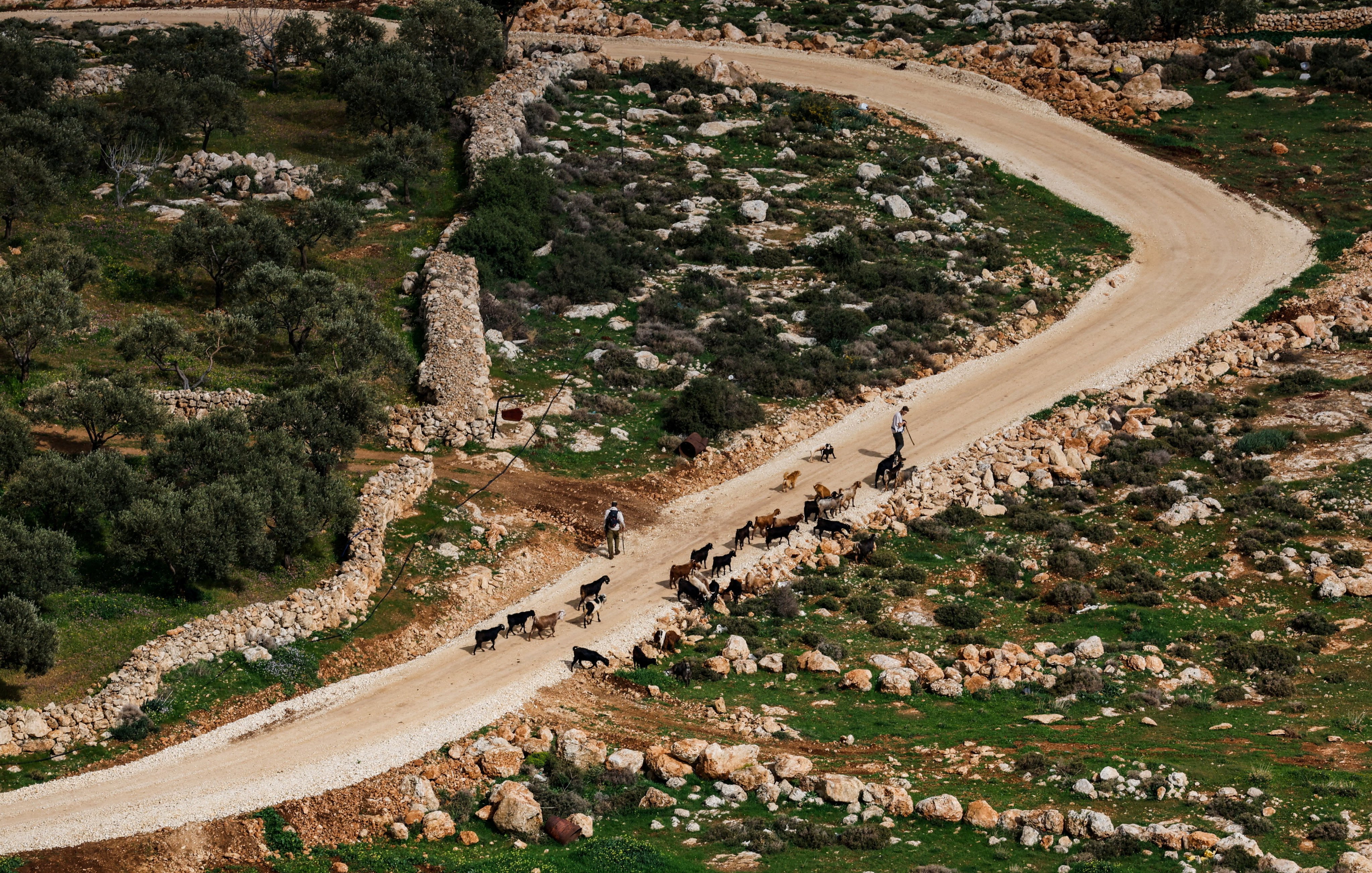 Israeli settlers with their animals in the Palestinian village of Duma, near Nablus, in the Israeli-occupied West Bank in February. Photo: Reuters