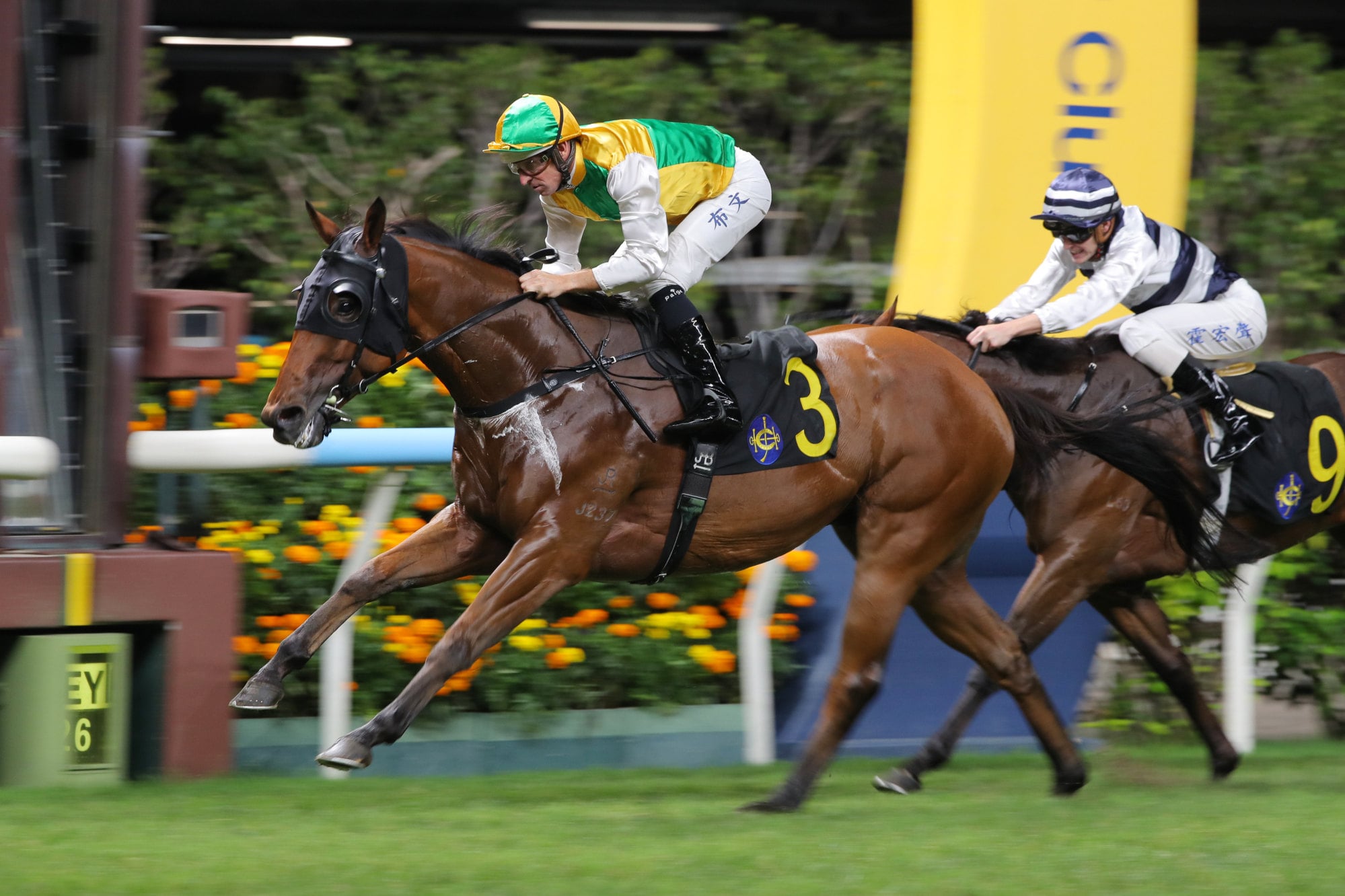 Storming Dragon, ridden by Hugh Bowman, wins at Happy Valley.