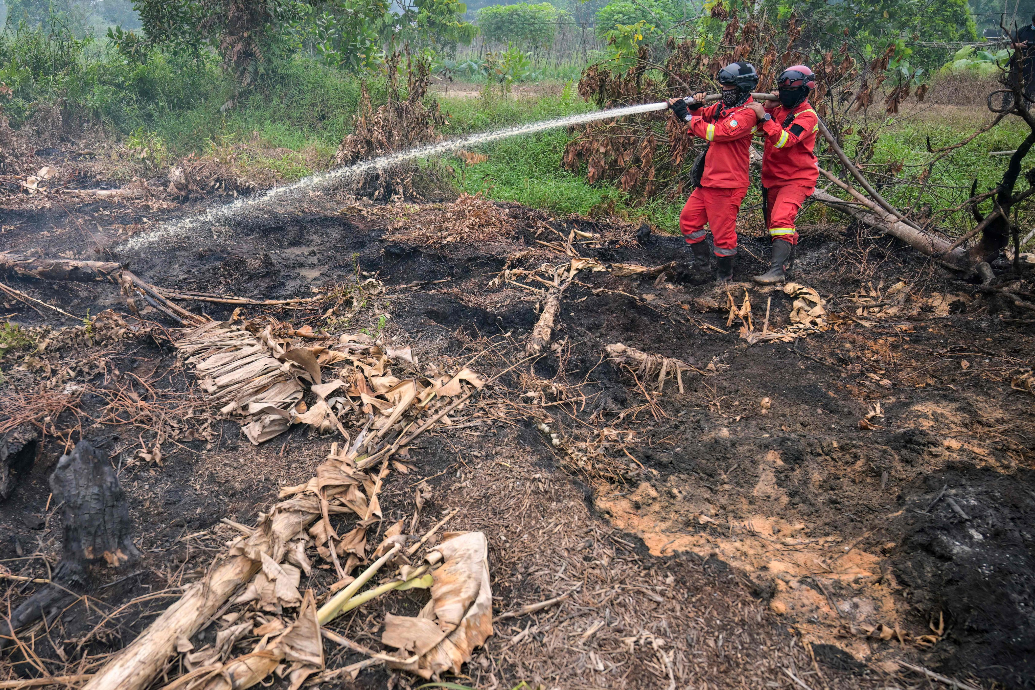 Forestry department firefighters extinguish a ground fire at Kuala Dua village in West Kalimantan, Indonesia, on Sunday. Photo: AFP