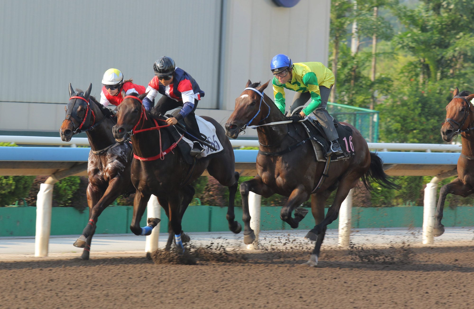 Salon S (black cap) wins a trial at Sha Tin on Tuesday. Salon S (black cap) wins a trial at Sha Tin on Tuesday.