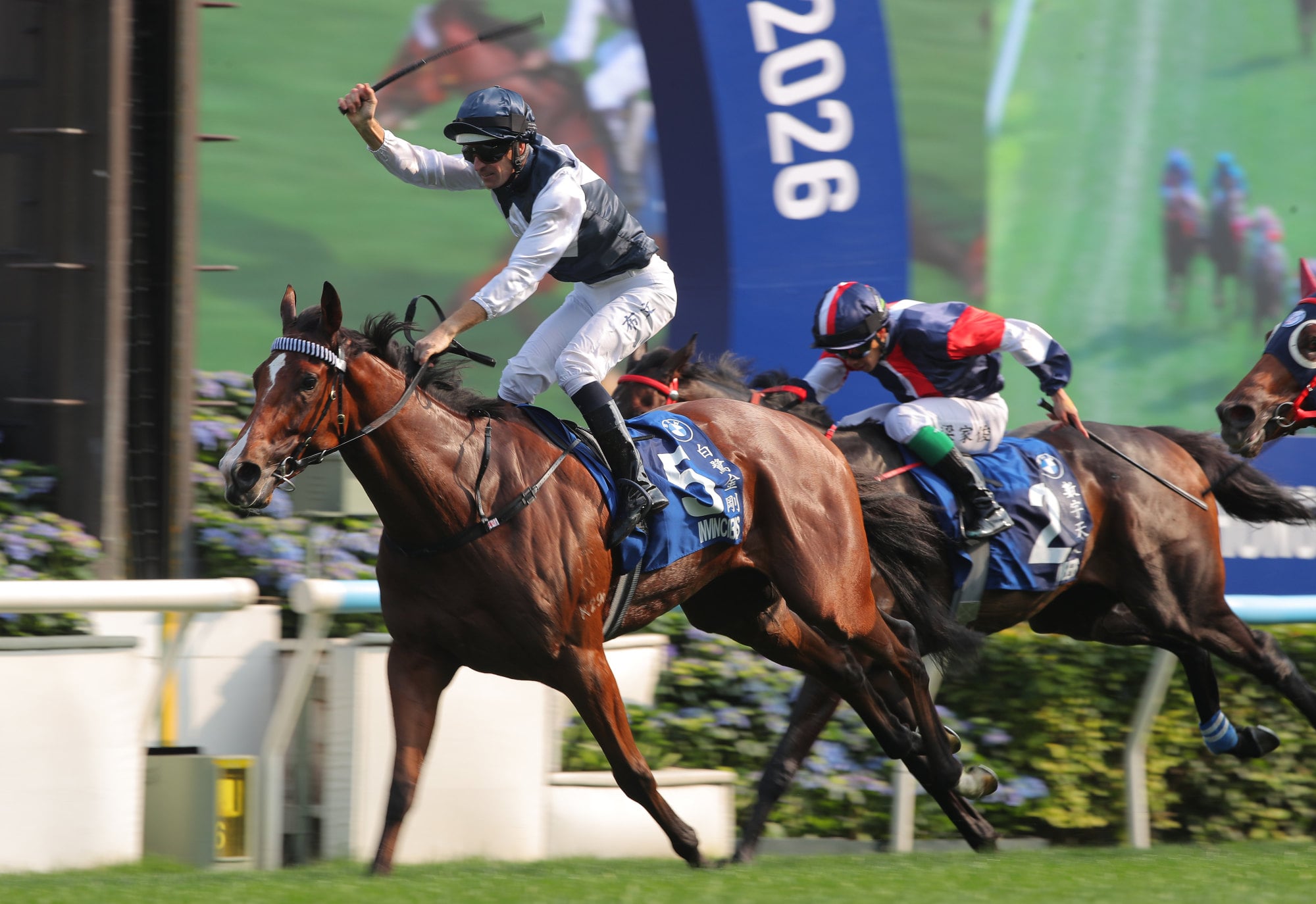 Invincible Ibis wins the Hong Kong Derby under Hugh Bowman. Invincible Ibis wins the Hong Kong Derby under Hugh Bowman.