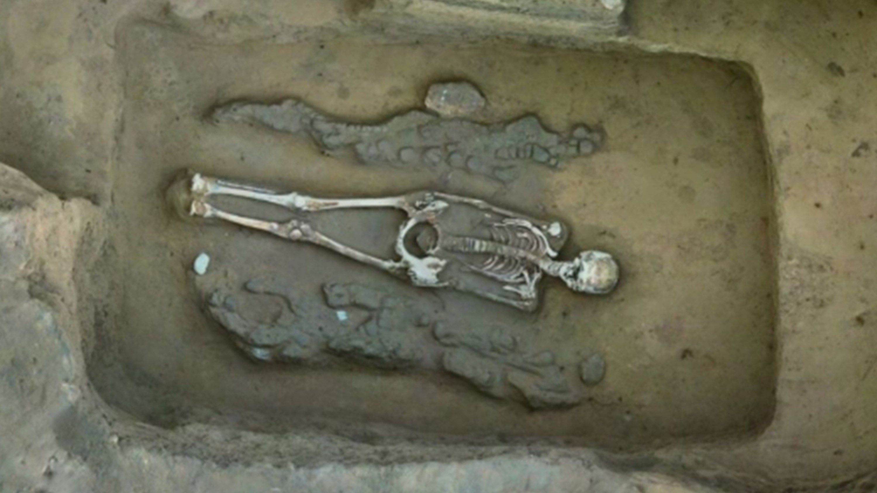 Regarded as the ultimate Chinese symbols of cosmic harmony and marital bliss, the earliest known dragon-phoenix pairing was recently discovered in an ancient tomb in northern China. Photo: Xinhua