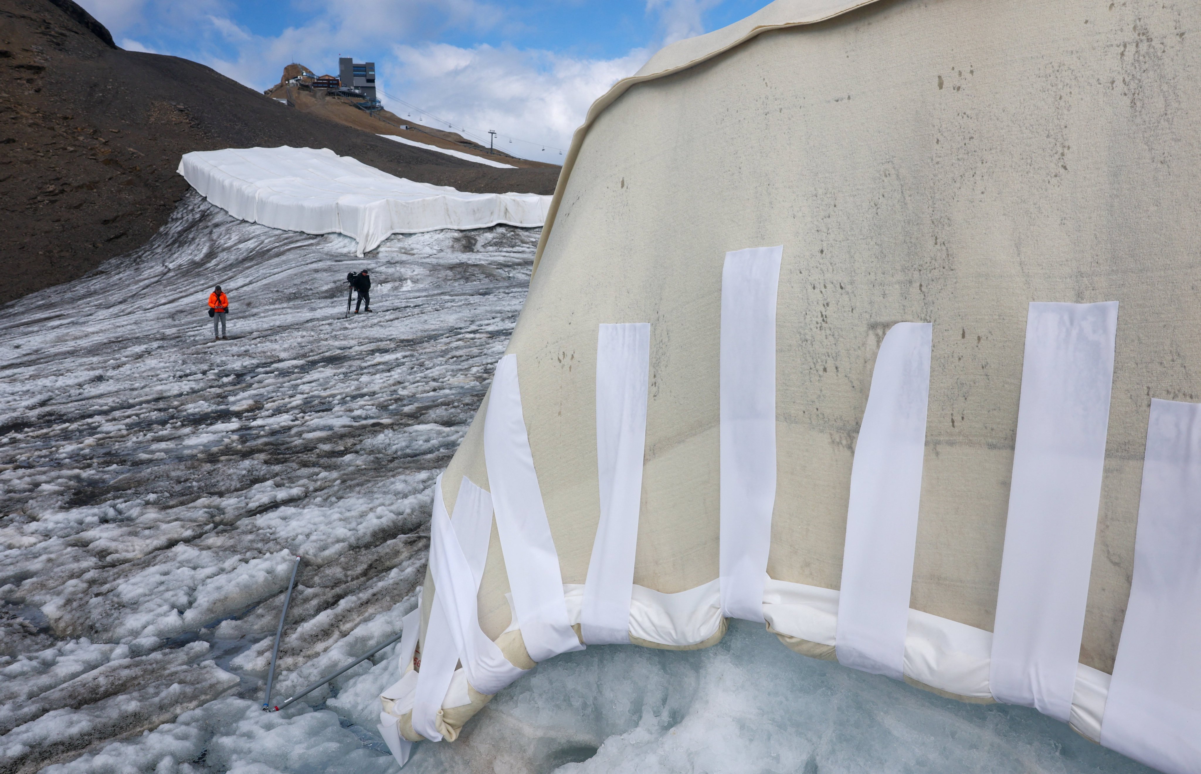 Swiss researchers are using sheep’s wool blankets to slow glacier melt in the Alps, offering a biodegradable alternative to plastic tarpaulins. Photo: Reuters
