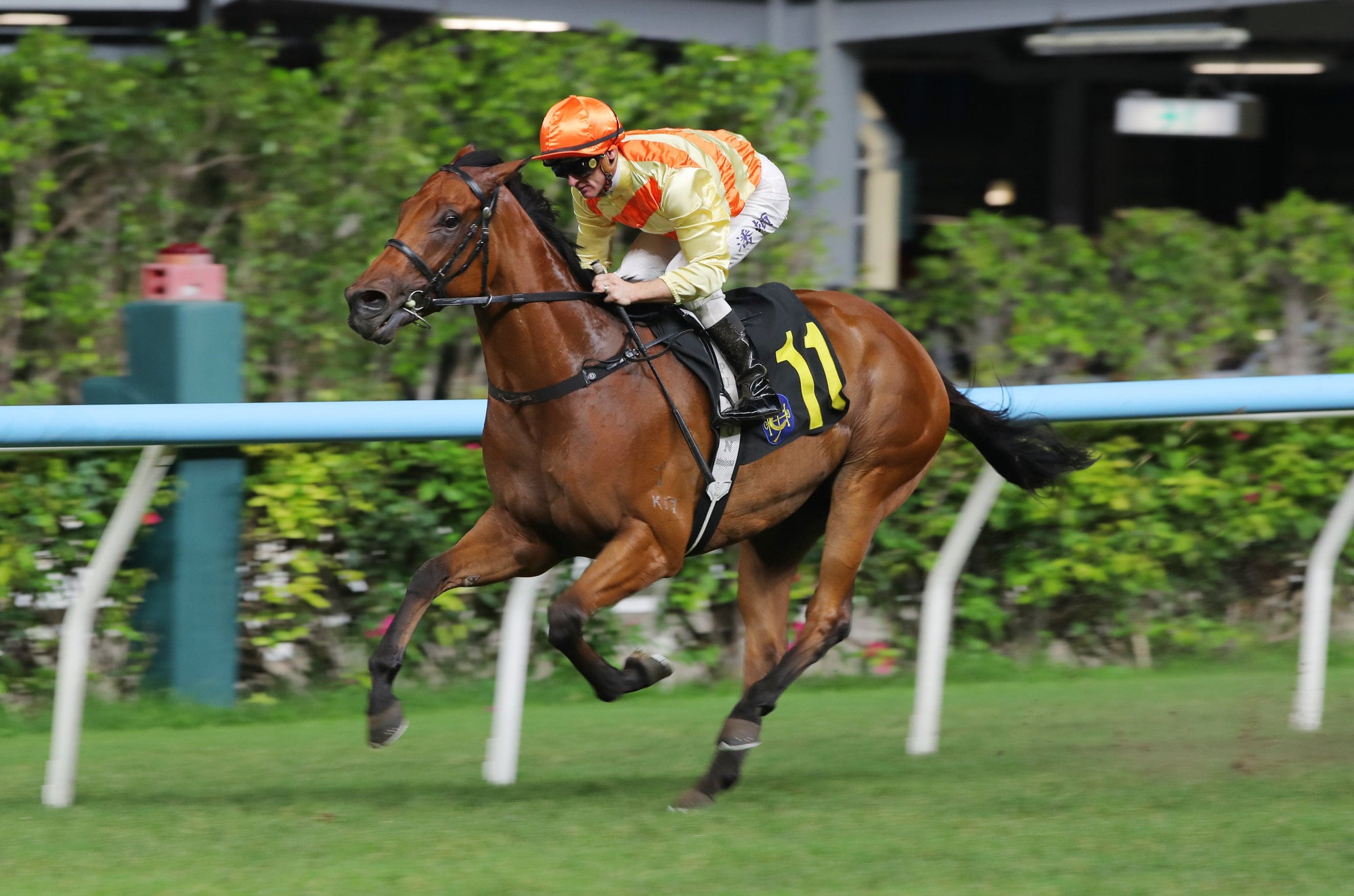 Thunder Prince scores under Zac Purton at the Valley in April. Thunder Prince scores under Zac Purton at the Valley in April.
