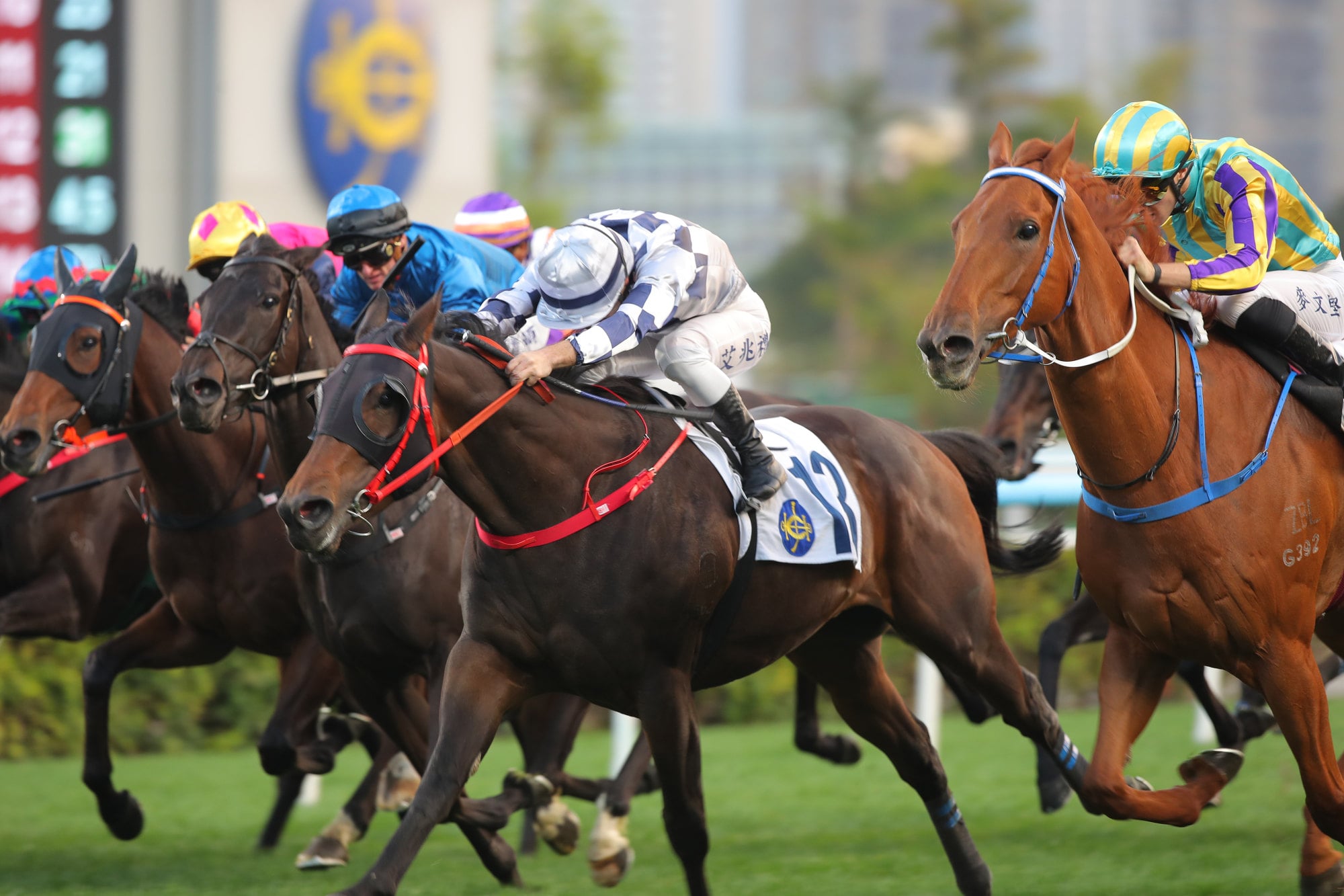 Flow Water Flow wins at Sha Tin in February. Flow Water Flow wins at Sha Tin in February.