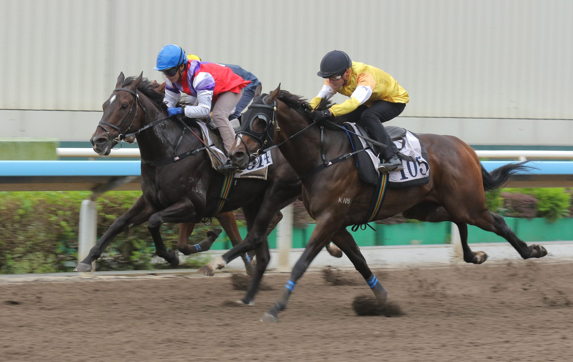 Oldtown (near) runs down Galactic Voyage to win a recent trial. Oldtown (near) runs down Galactic Voyage to win a recent trial.