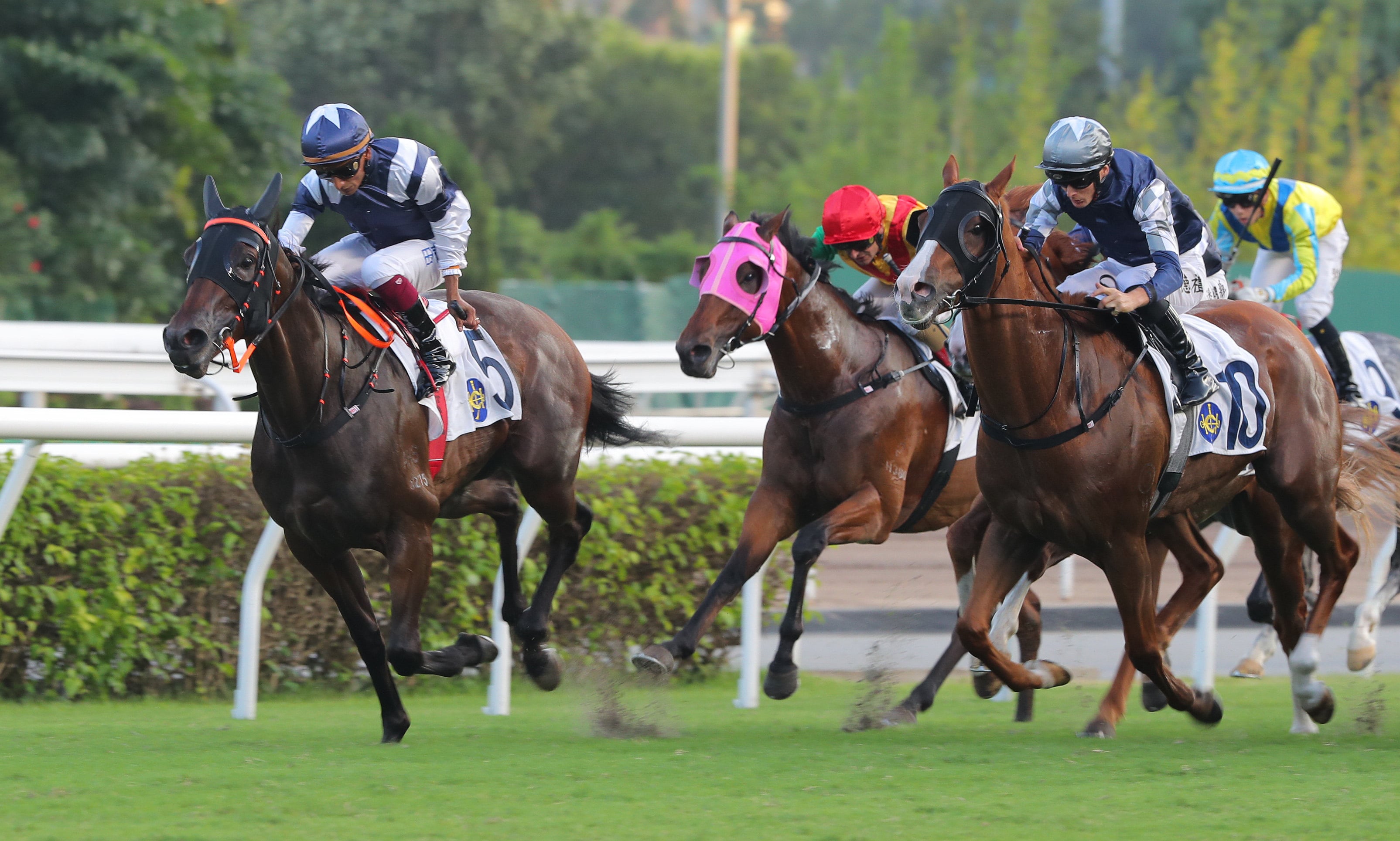 Lucy In The Sky wins at Sha Tin in 2024. Photos: Kenneth Chan