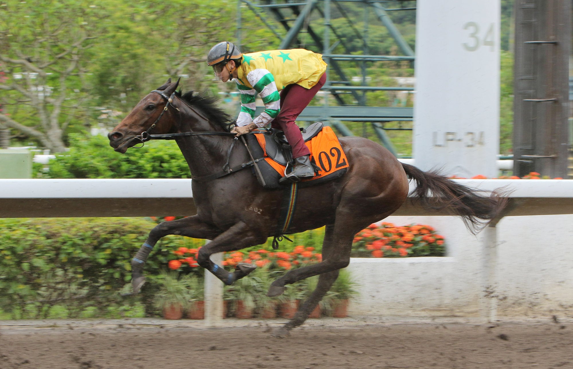 Money Games trials at Sha Tin back in July under Jerry Chau. Money Games trials at Sha Tin back in July under Jerry Chau.