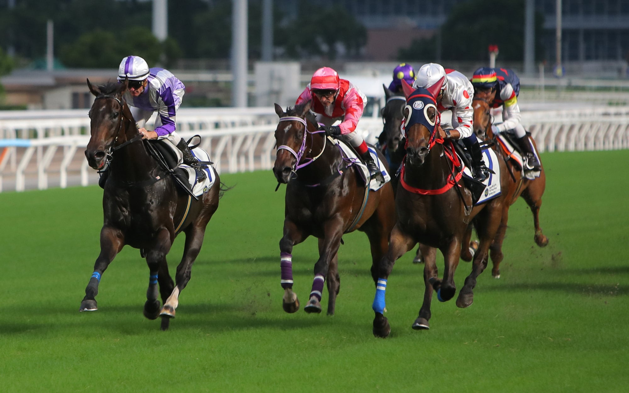 Looking Bright (right) warms up for his return in a Sha Tin trial. Looking Bright (right) warms up for his return in a Sha Tin trial.